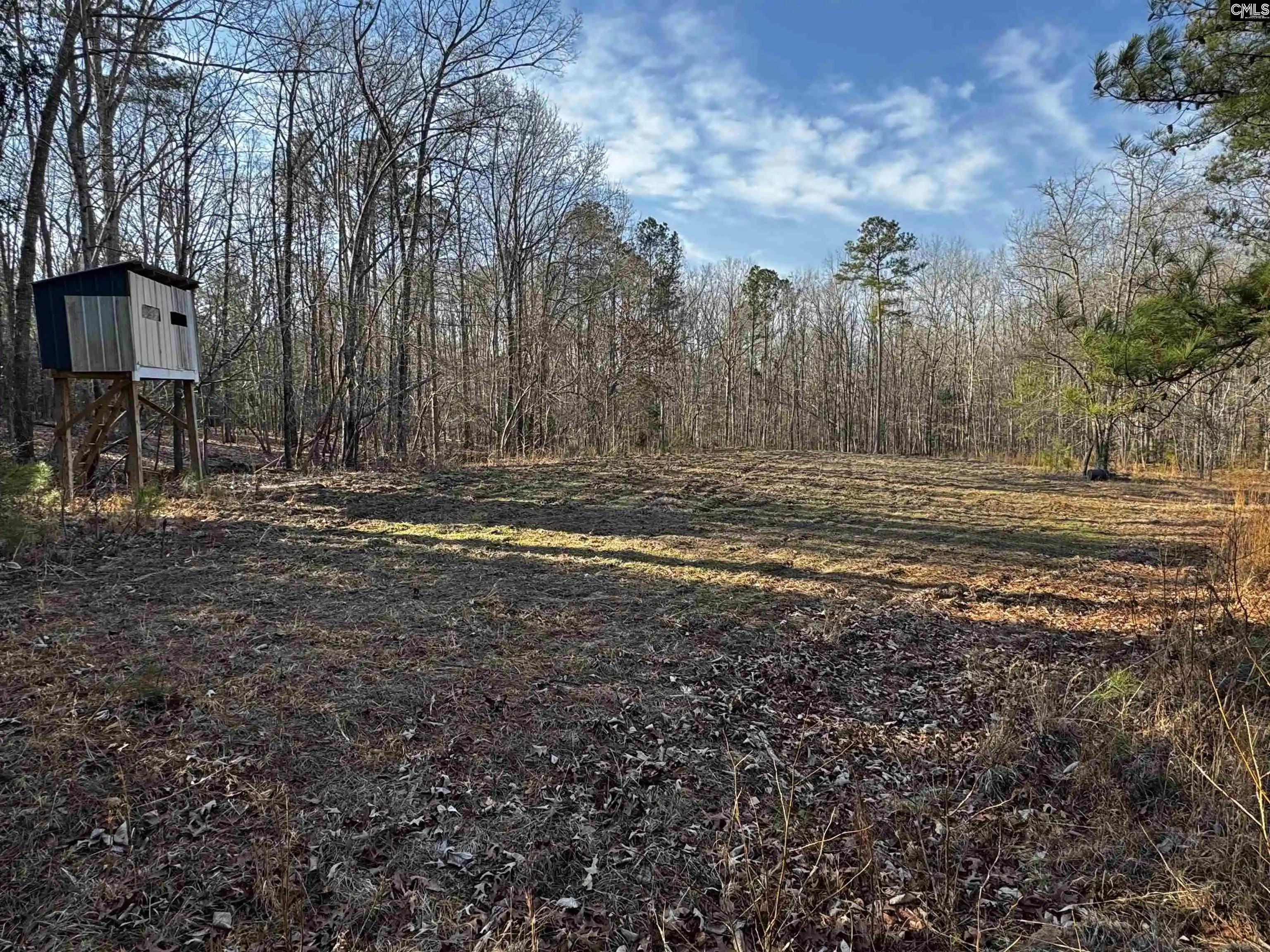 Photo 2 of Land for sale at 0 Mann, Winnsboro, SC 29180 | MLS# 626601 | Listing updated on 2026-08-24