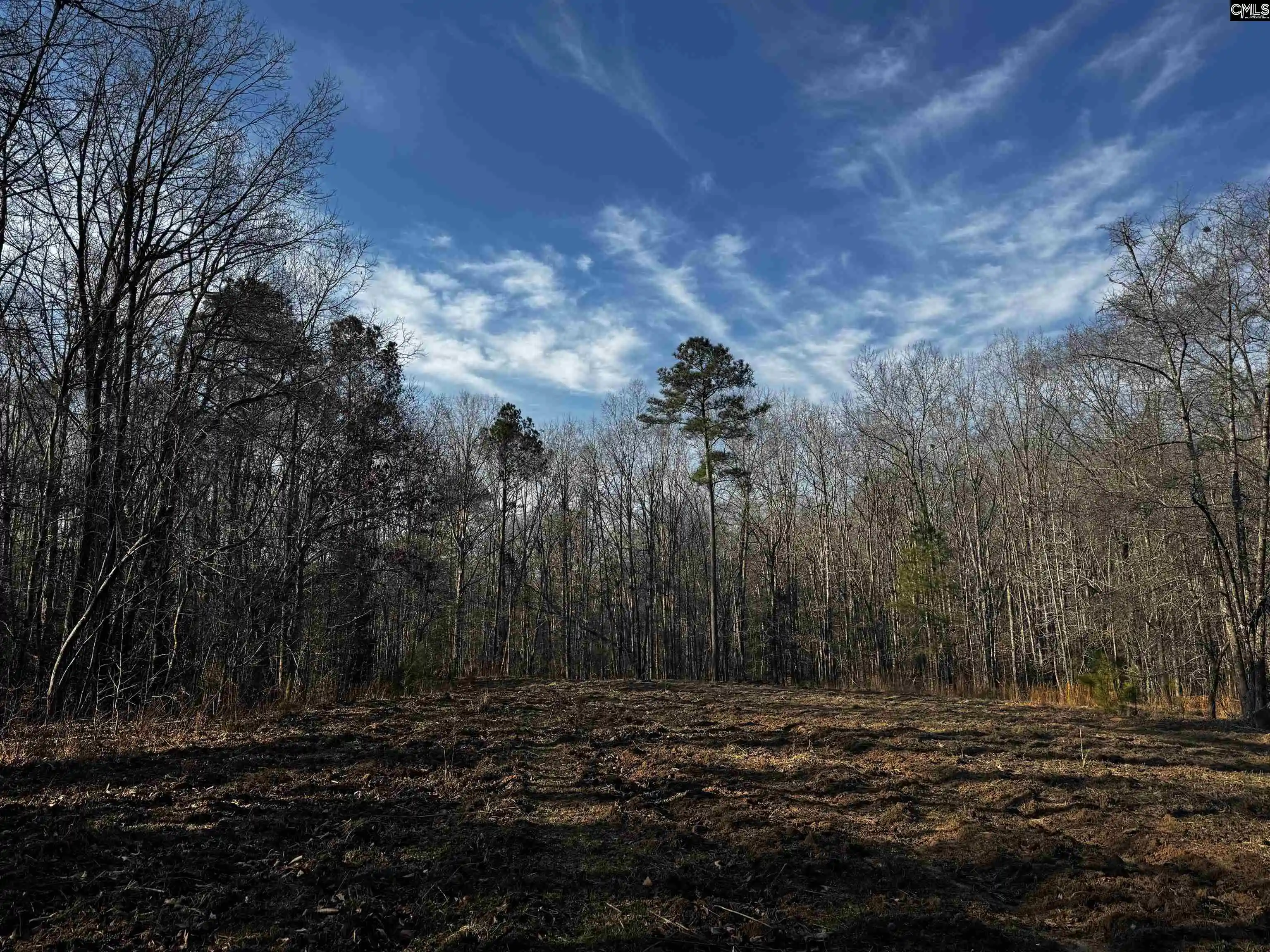 Photo 3 of Land for sale at 0 Mann, Winnsboro, SC 29180 | MLS# 626601 | Listing updated on 2026-08-24