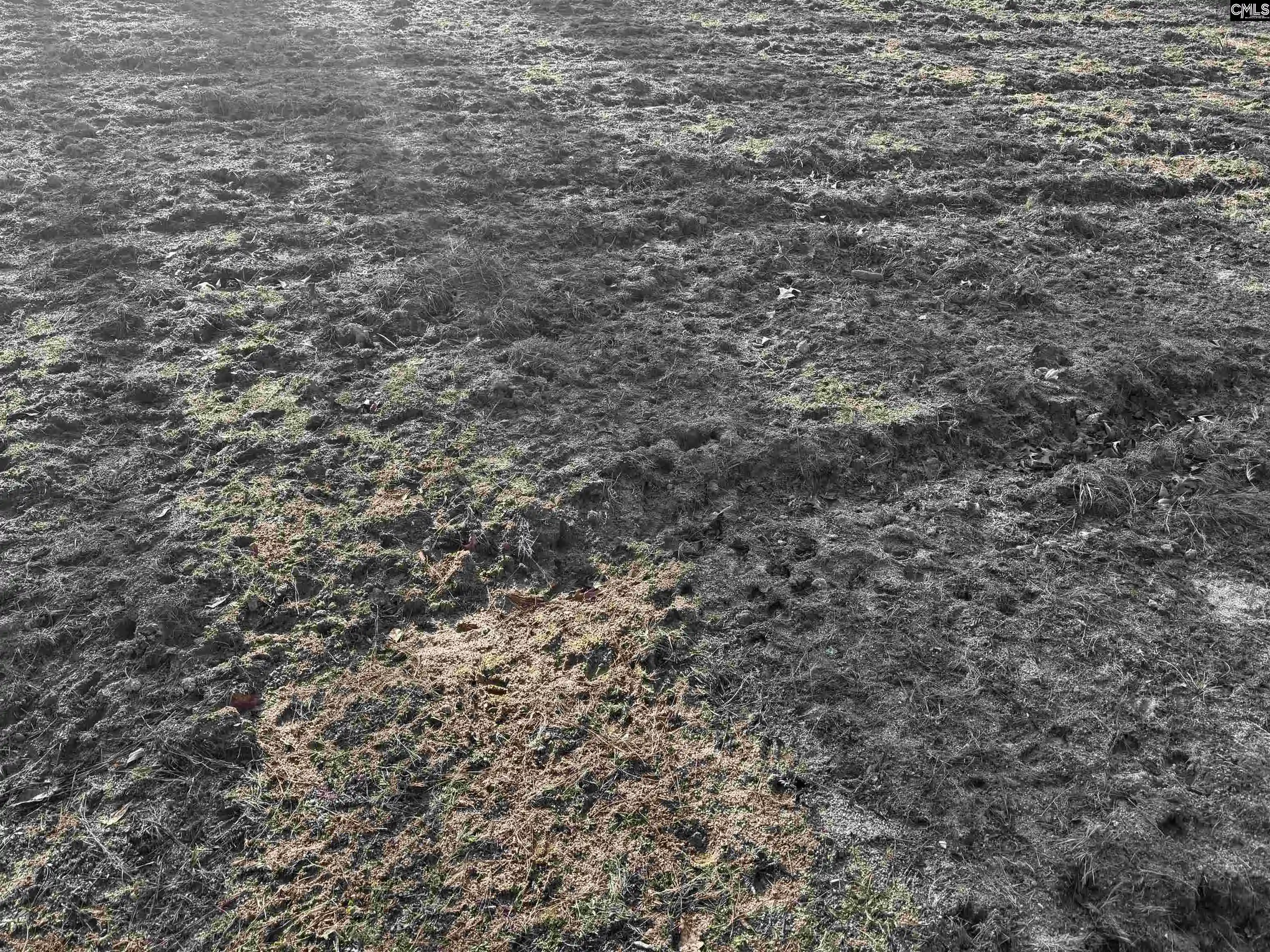 Photo 4 of Land for sale at 0 Mann, Winnsboro, SC 29180 | MLS# 626601 | Listing updated on 2026-08-24