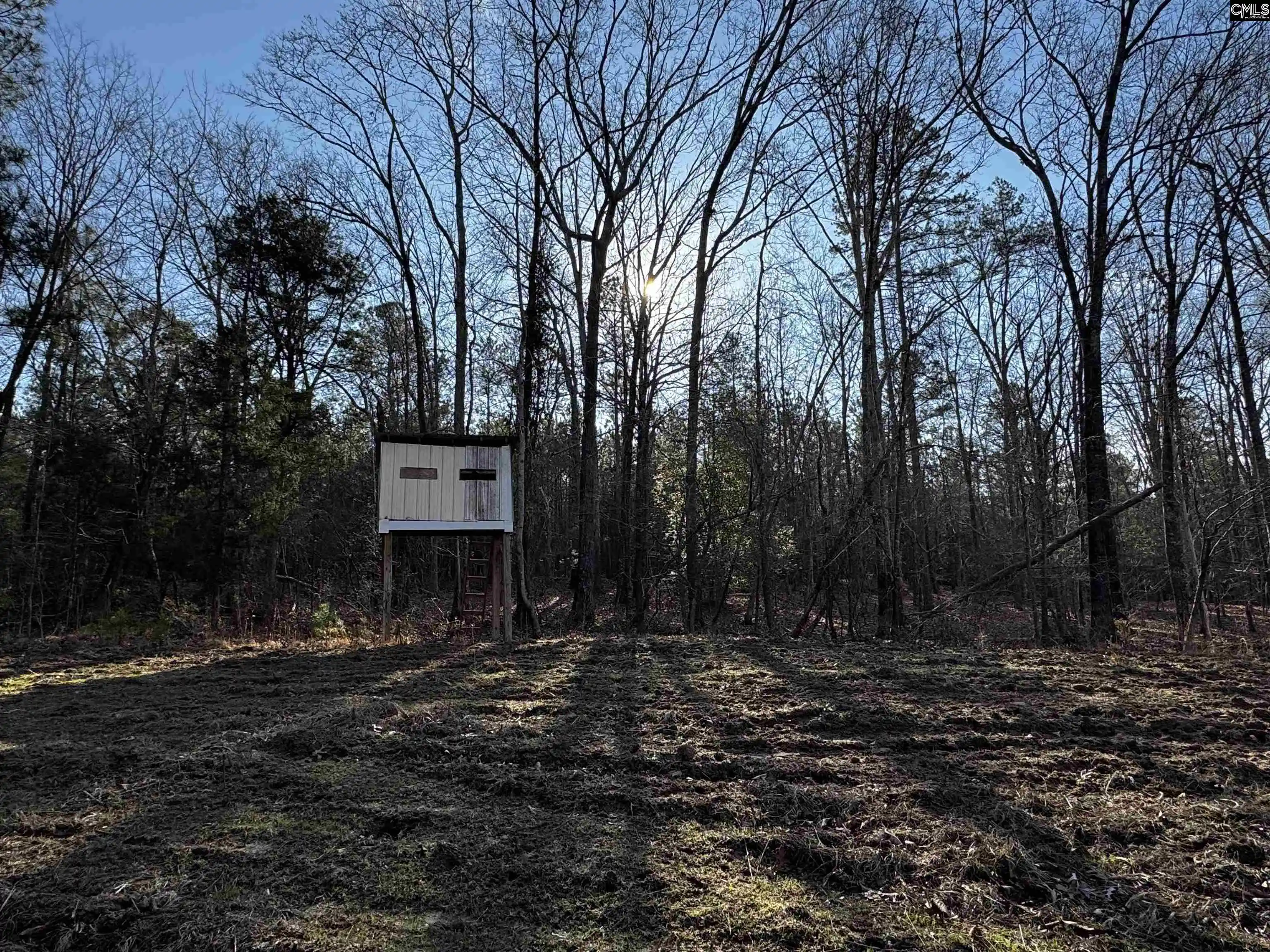 Photo 5 of Land for sale at 0 Mann, Winnsboro, SC 29180 | MLS# 626601 | Listing updated on 2026-08-24