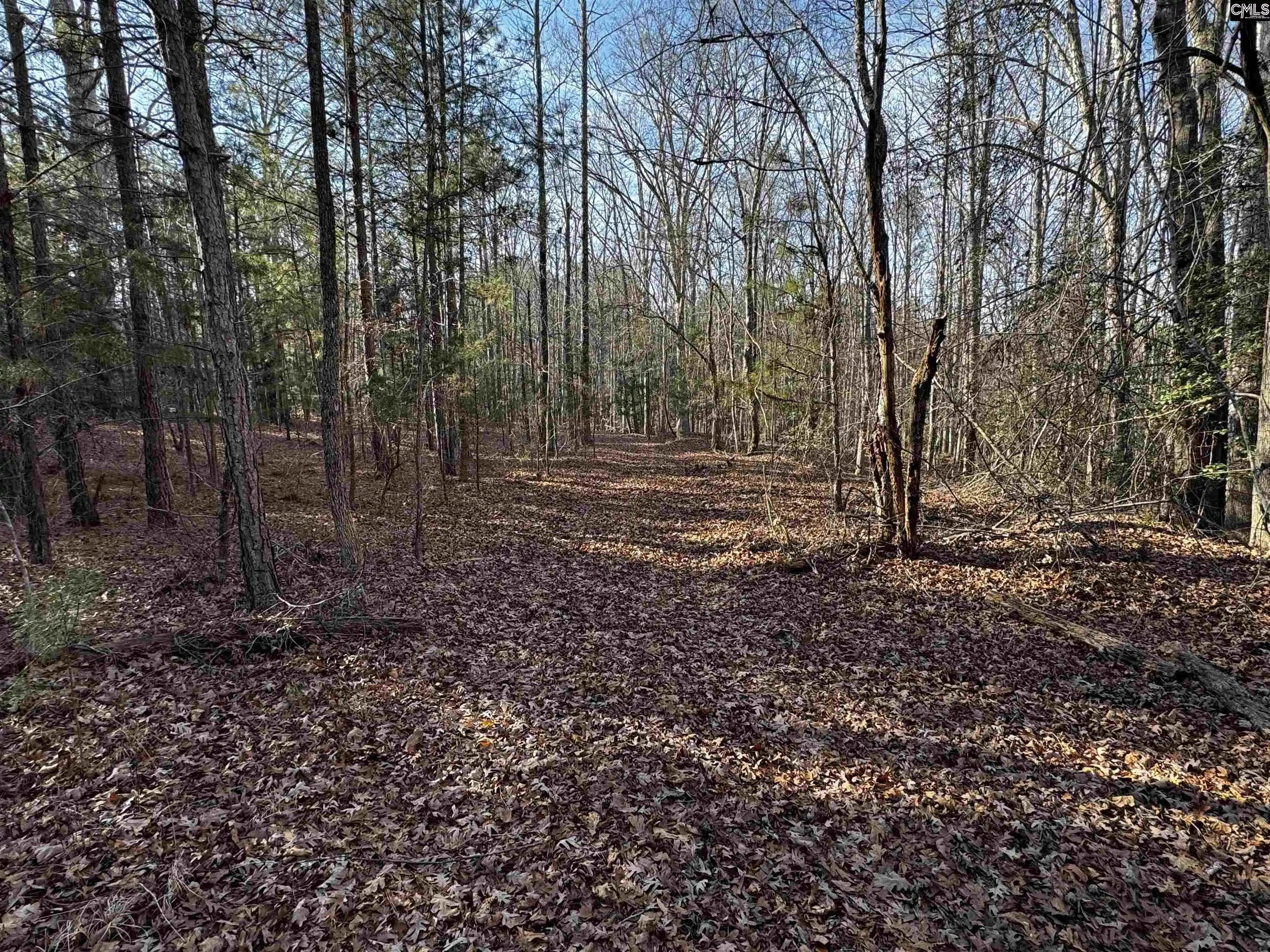 Photo 22 of Land for sale at 0 Mann, Winnsboro, SC 29180 | MLS# 626601 | Listing updated on 2026-08-24