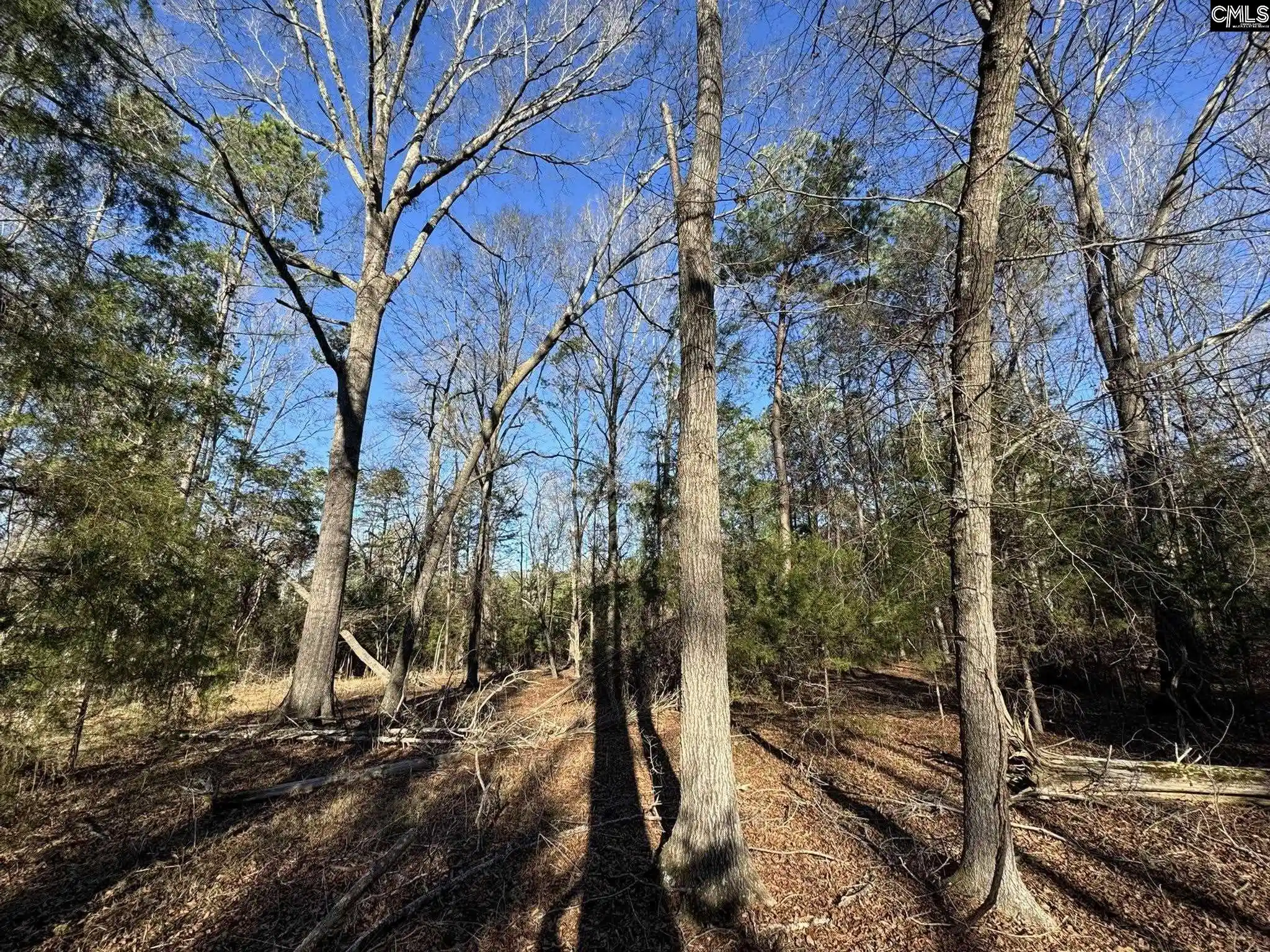 4th image of Hwy 252, Laurens, SC 29360 | MLS# 626772