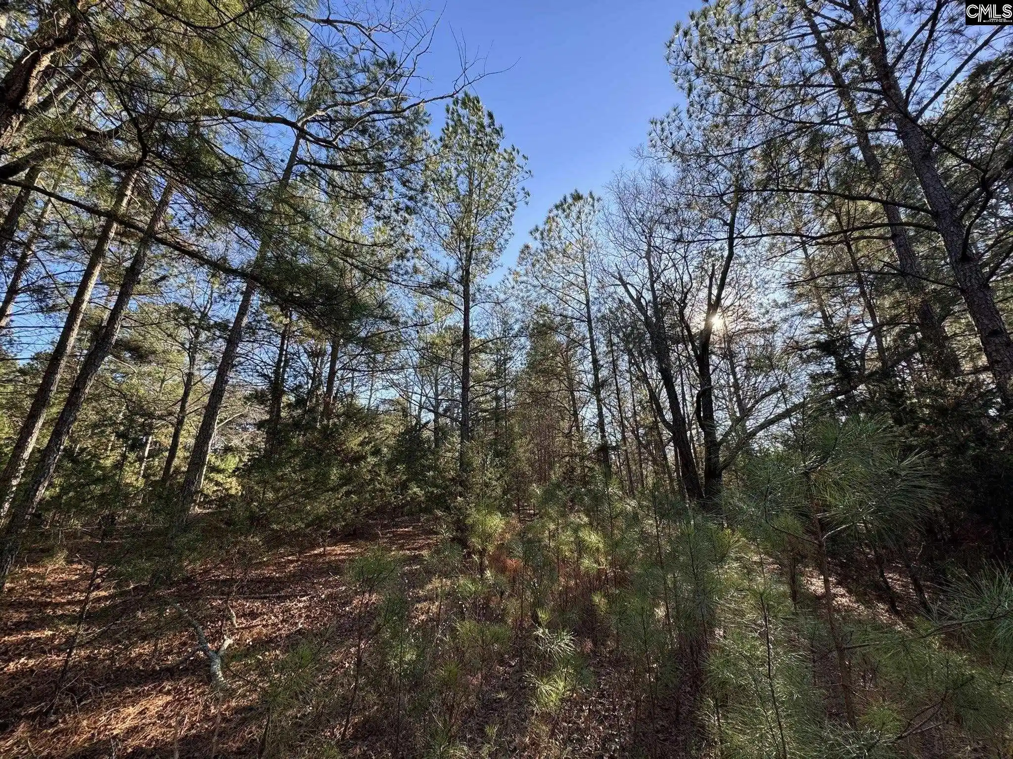 55th image of Hwy 252, Laurens, SC 29360 | MLS# 626772