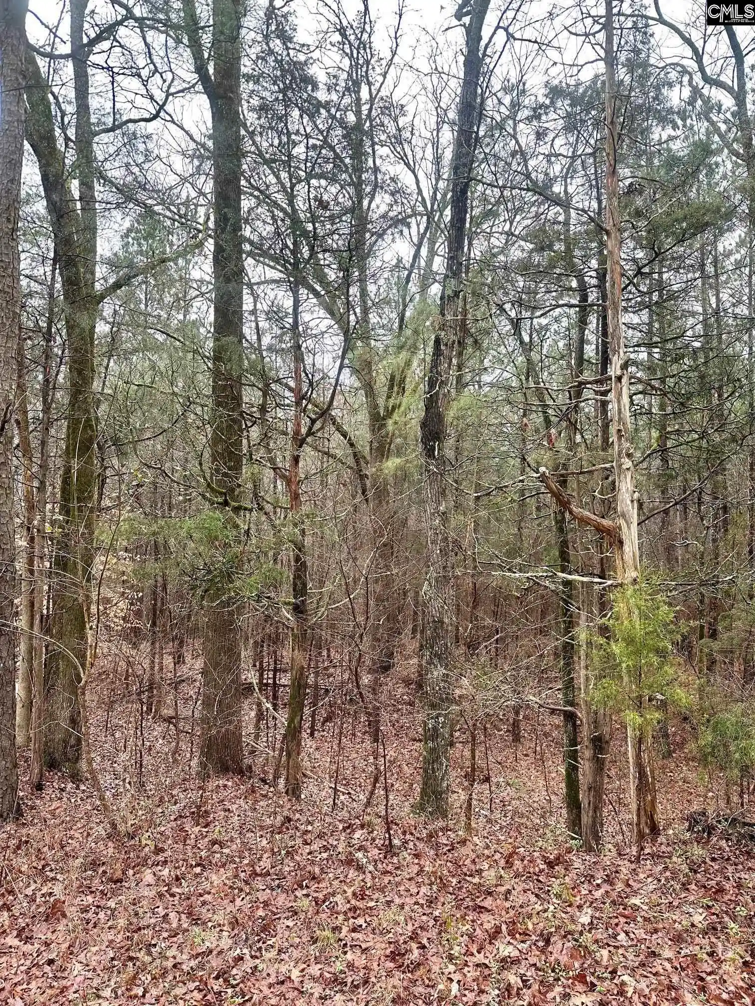 3rd image of 1178 Great Falls, Chester, SC 29706 | MLS# 626912