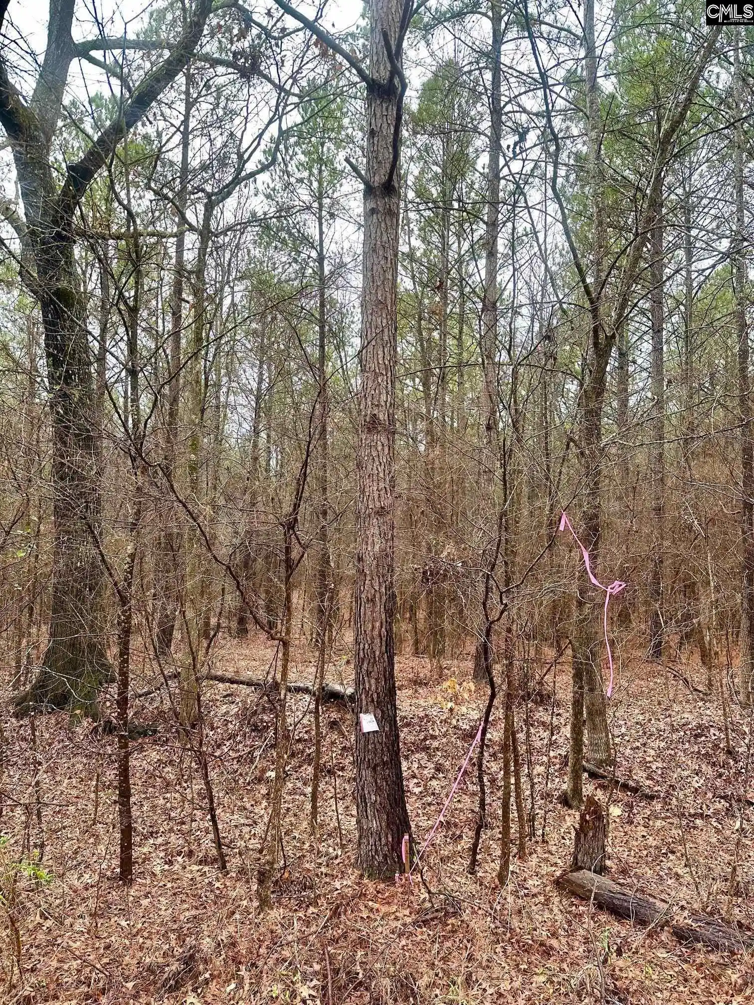 4th image of 1178 Great Falls, Chester, SC 29706 | MLS# 626912