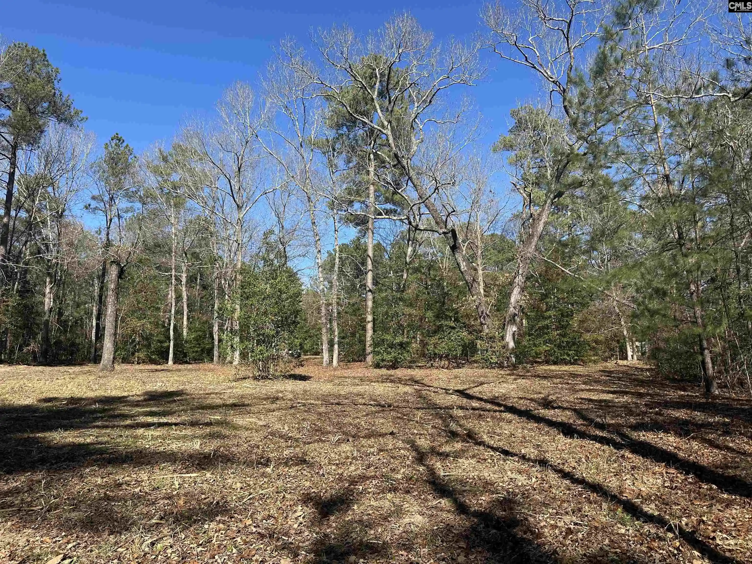 Photo 2 of Land for sale at 622 Juniper Springs, Gilbert, SC 29054 | MLS# 627017 | Listing updated on 2026-08-26
