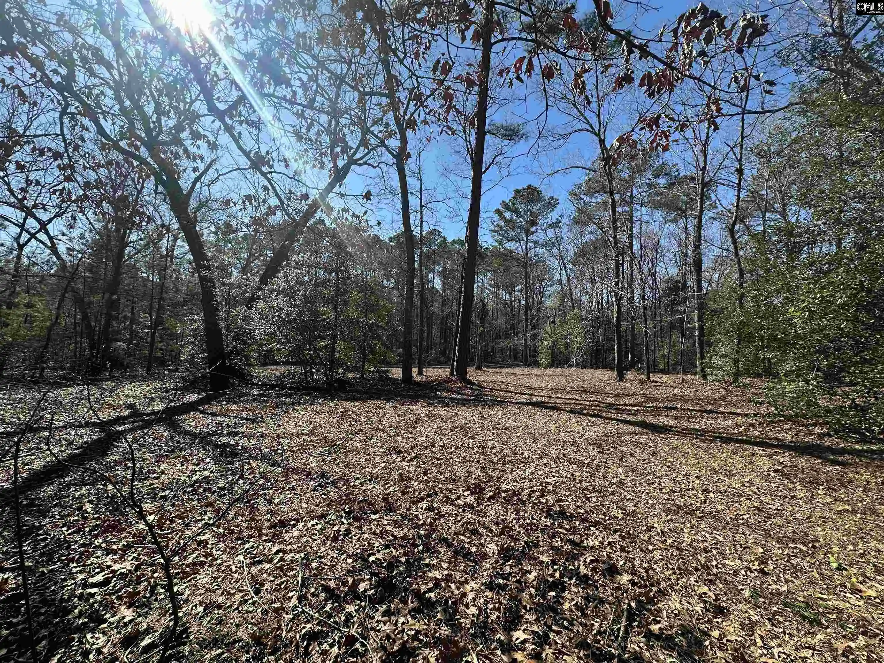 Photo 3 of Land for sale at 622 Juniper Springs, Gilbert, SC 29054 | MLS# 627017 | Listing updated on 2026-08-26