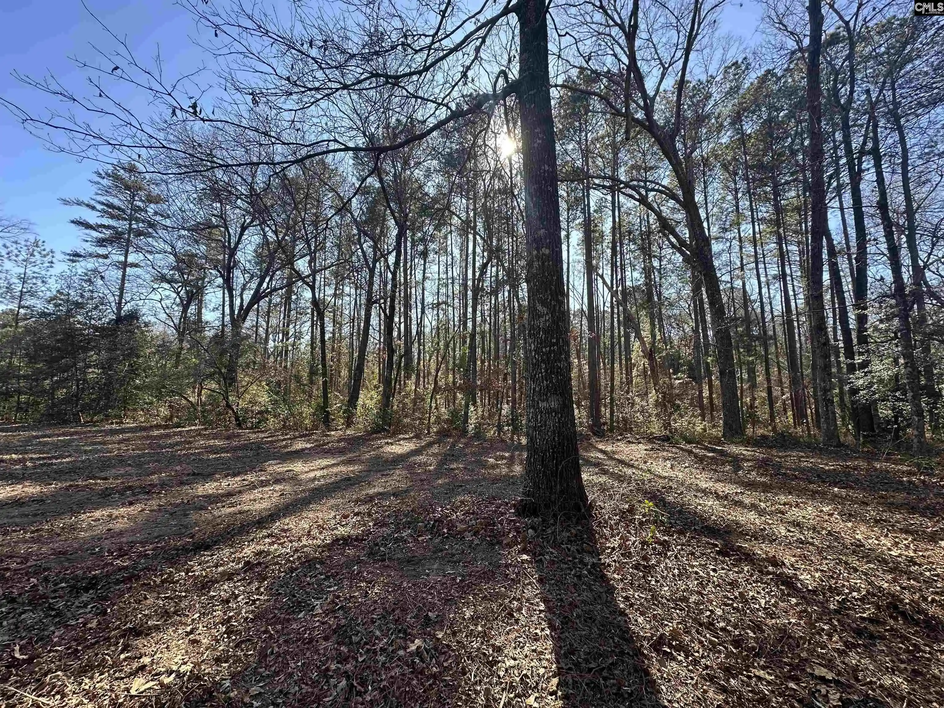 Photo 4 of Land for sale at 622 Juniper Springs, Gilbert, SC 29054 | MLS# 627017 | Listing updated on 2026-08-26