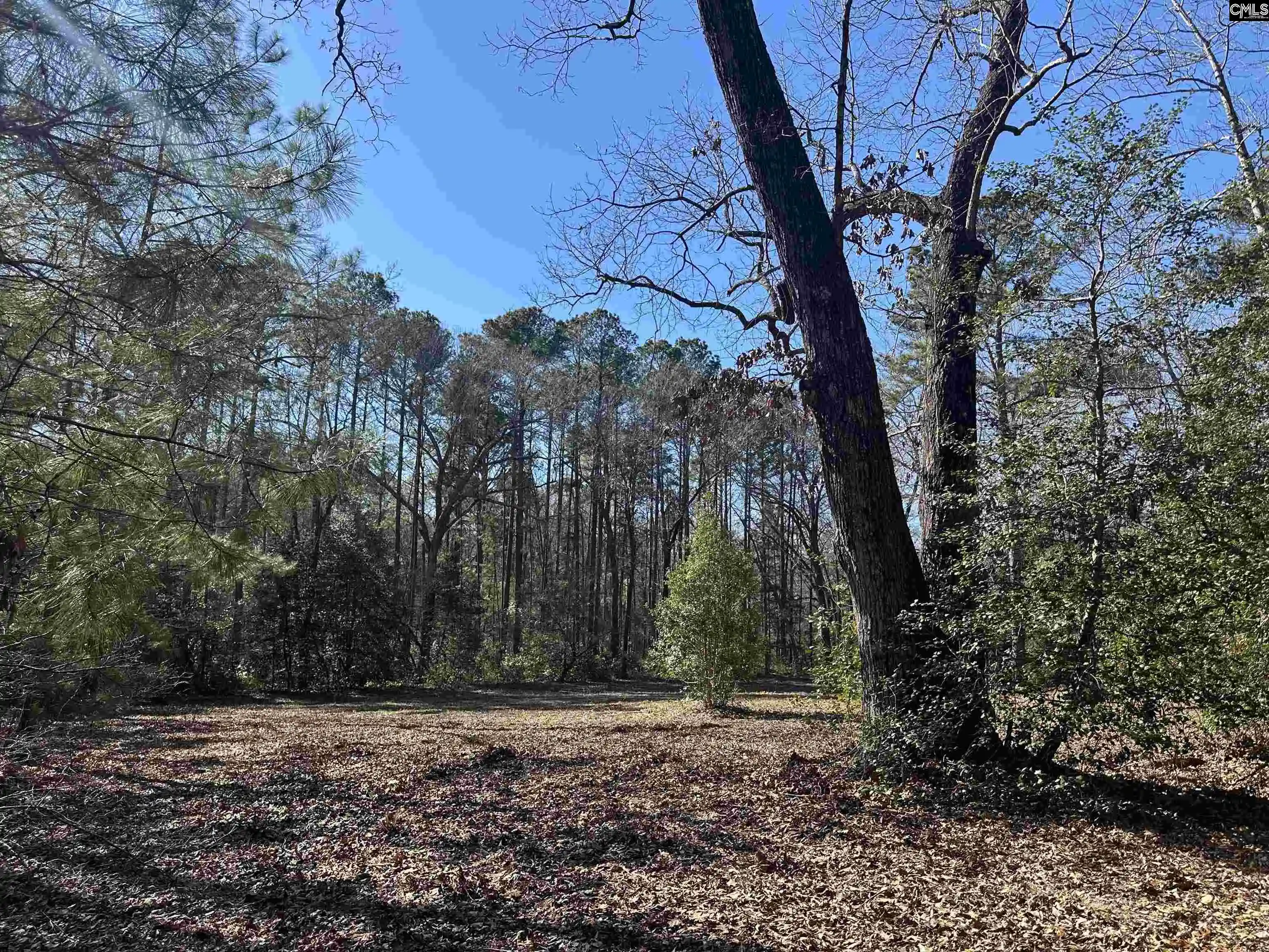 Photo 10 of Land for sale at 622 Juniper Springs, Gilbert, SC 29054 | MLS# 627017 | Listing updated on 2026-08-26