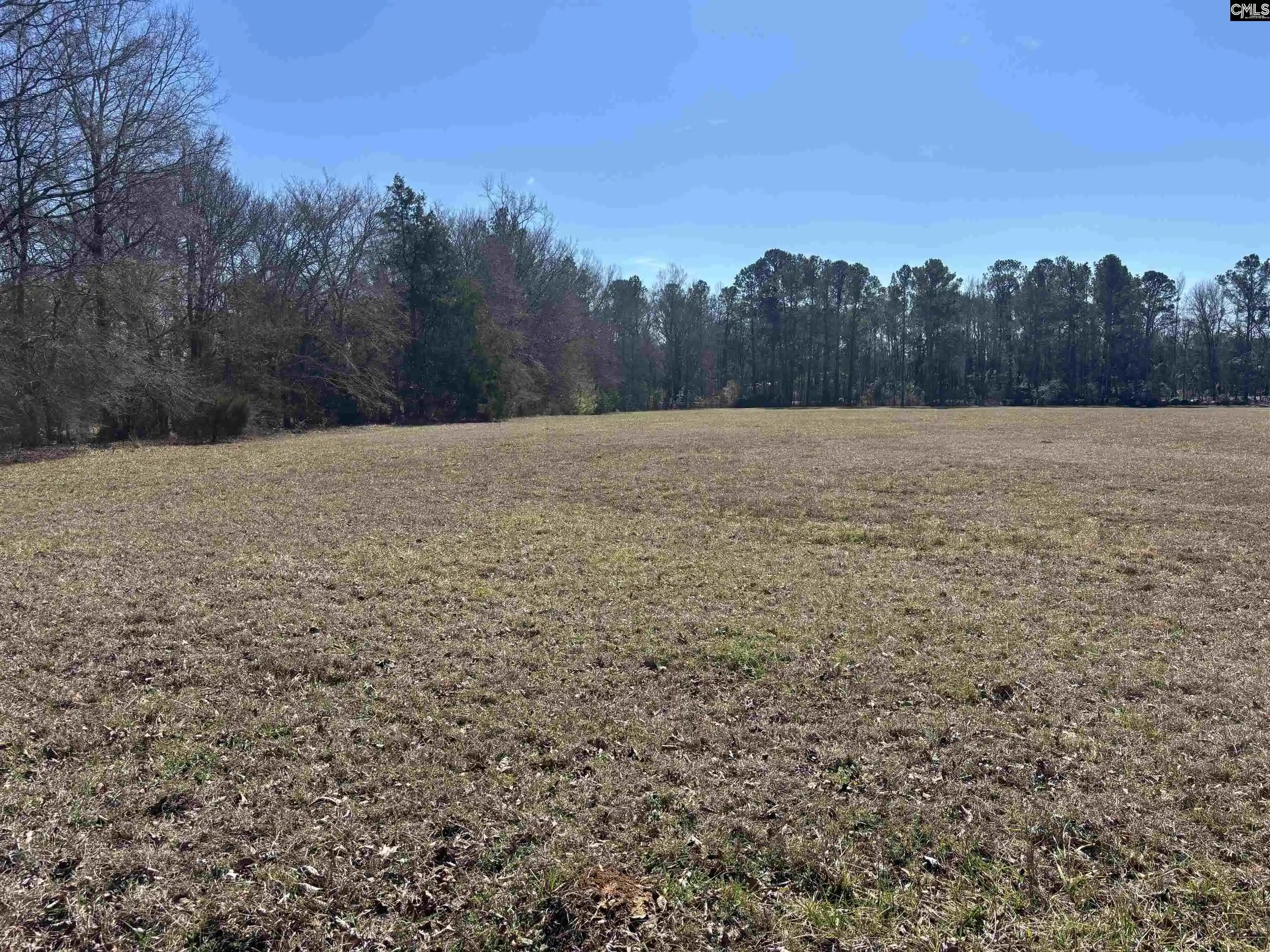 Homes for sale in Saluda, SC | 0 Bethany, Saluda, SC 29138 | MLS# 627068