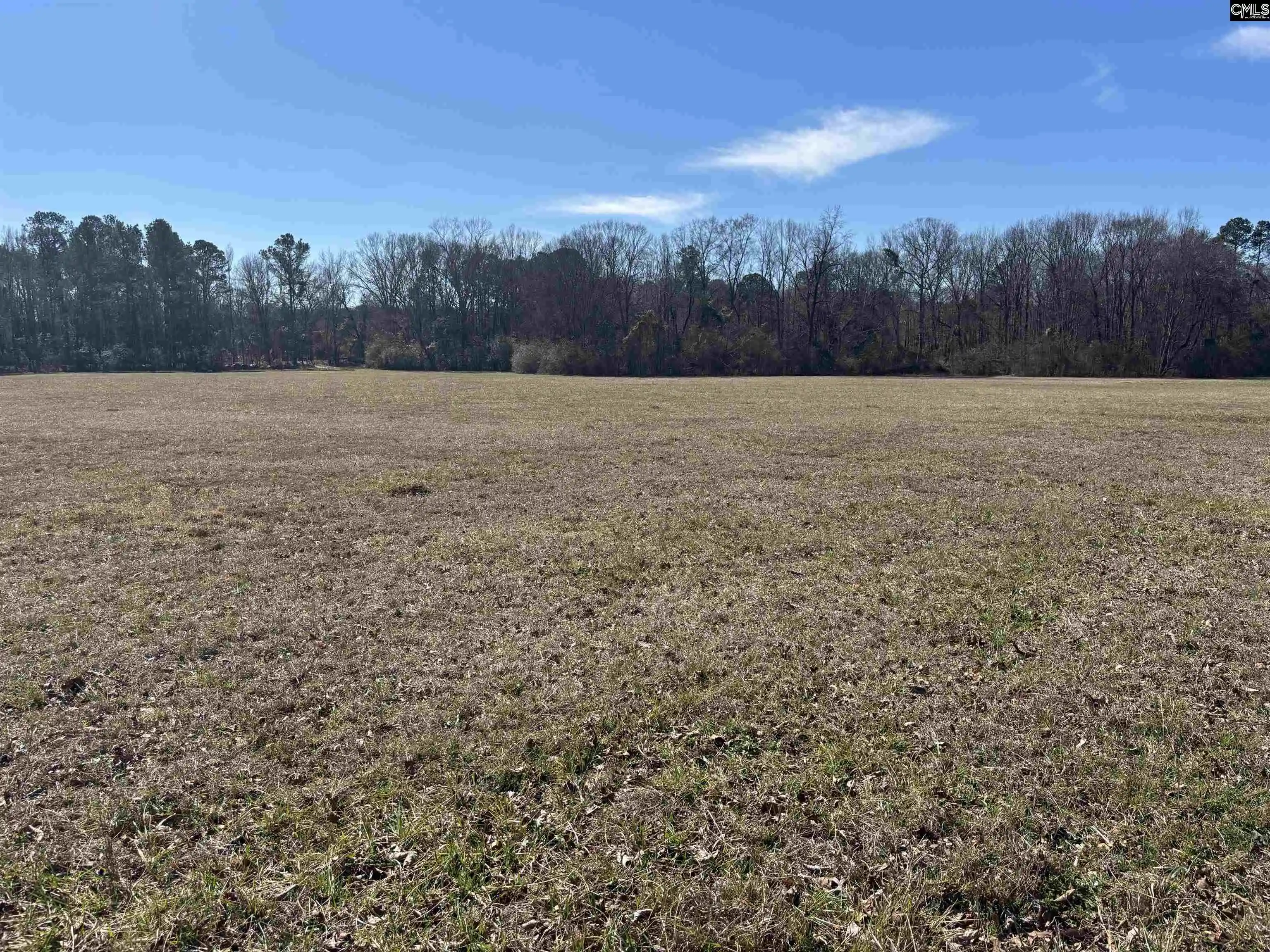 Homes for sale in Saluda, SC | 0 Bethany, Saluda, SC 29138 | MLS# 627068