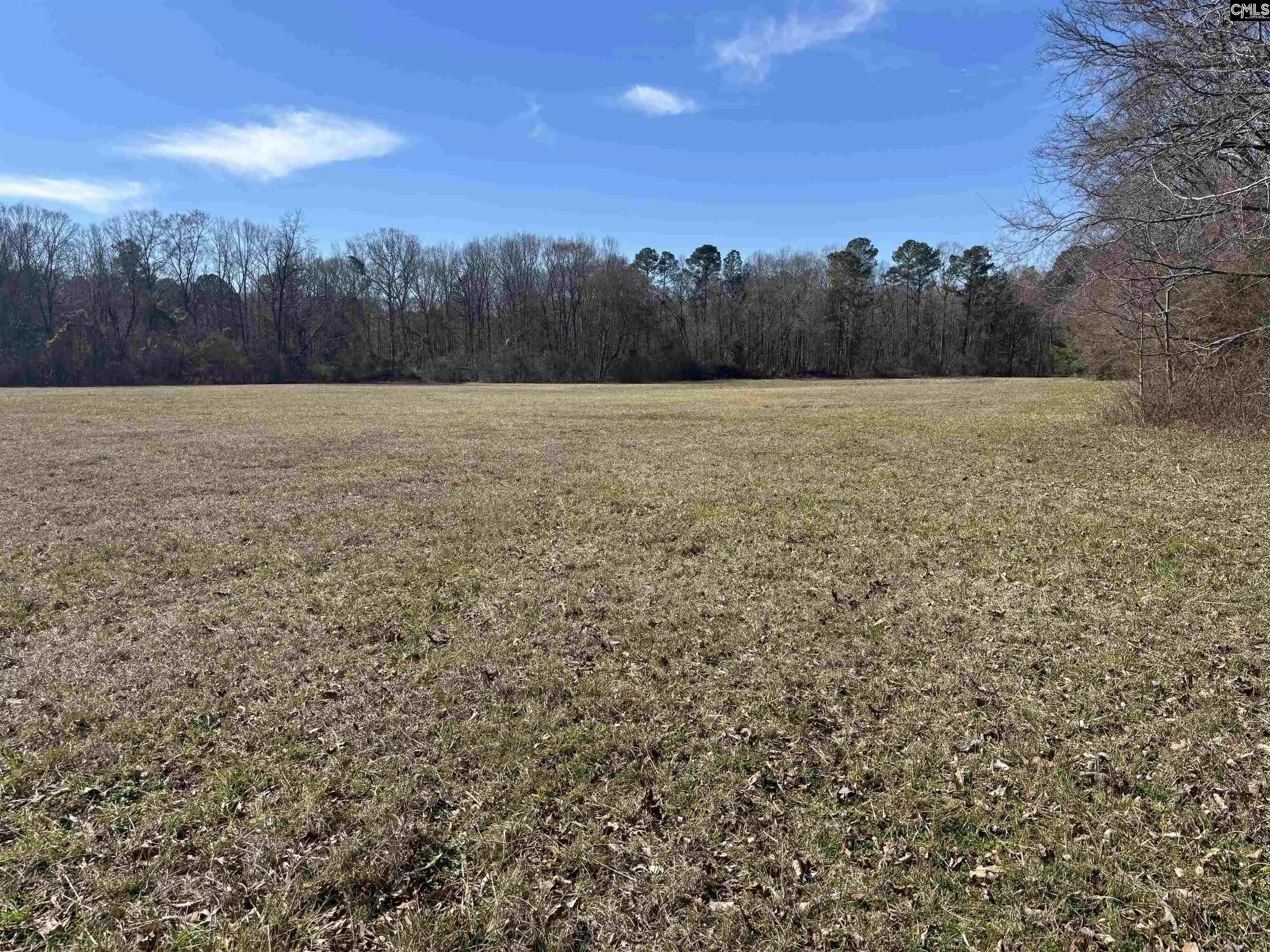 Homes for sale in Saluda, SC | 0 Bethany, Saluda, SC 29138 | MLS# 627068