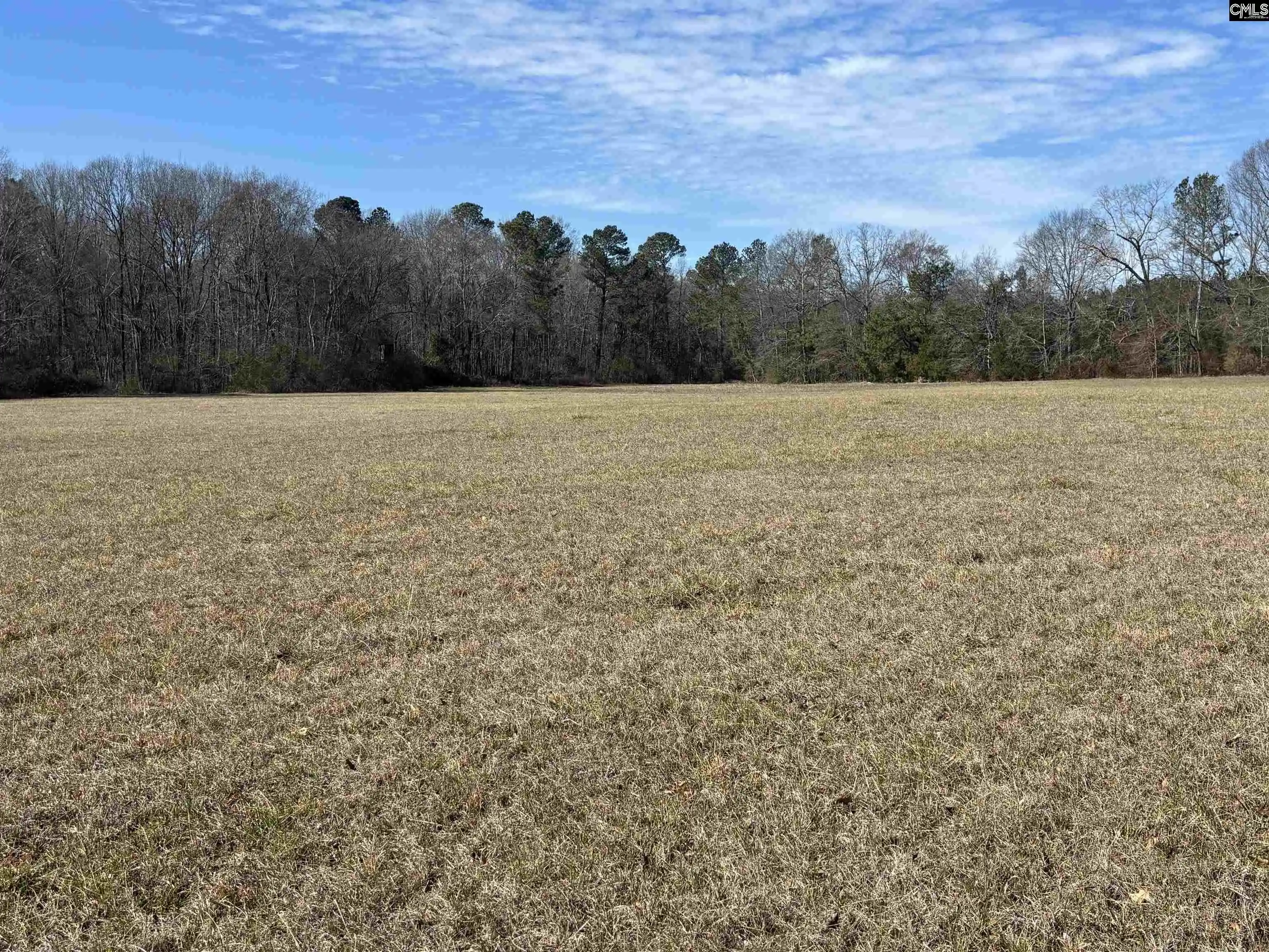 Homes for sale in Saluda, SC | 0 Bethany, Saluda, SC 29138 | MLS# 627068