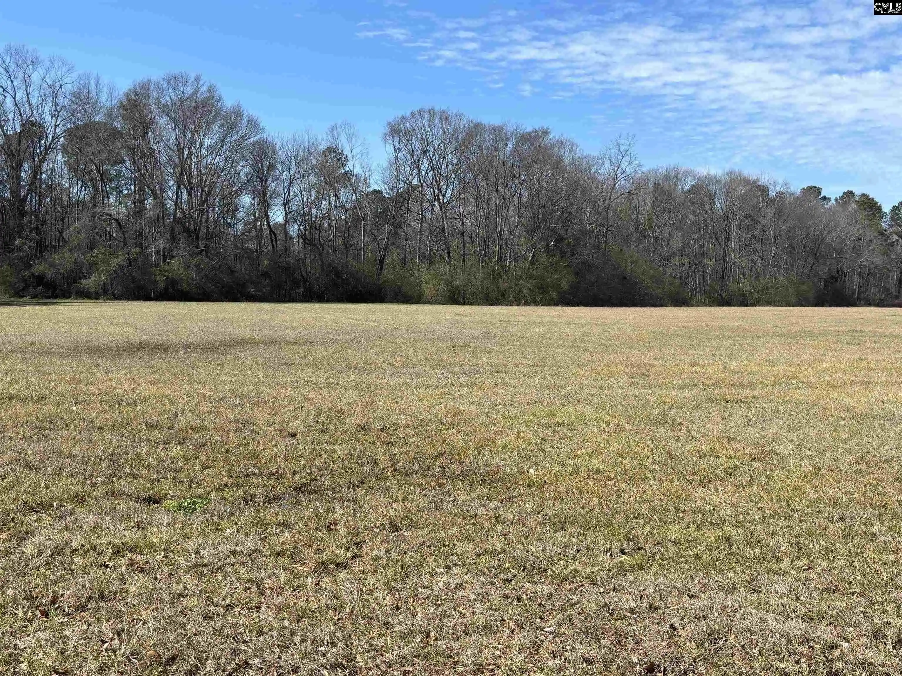 Homes for sale in Saluda, SC | 0 Bethany, Saluda, SC 29138 | MLS# 627068