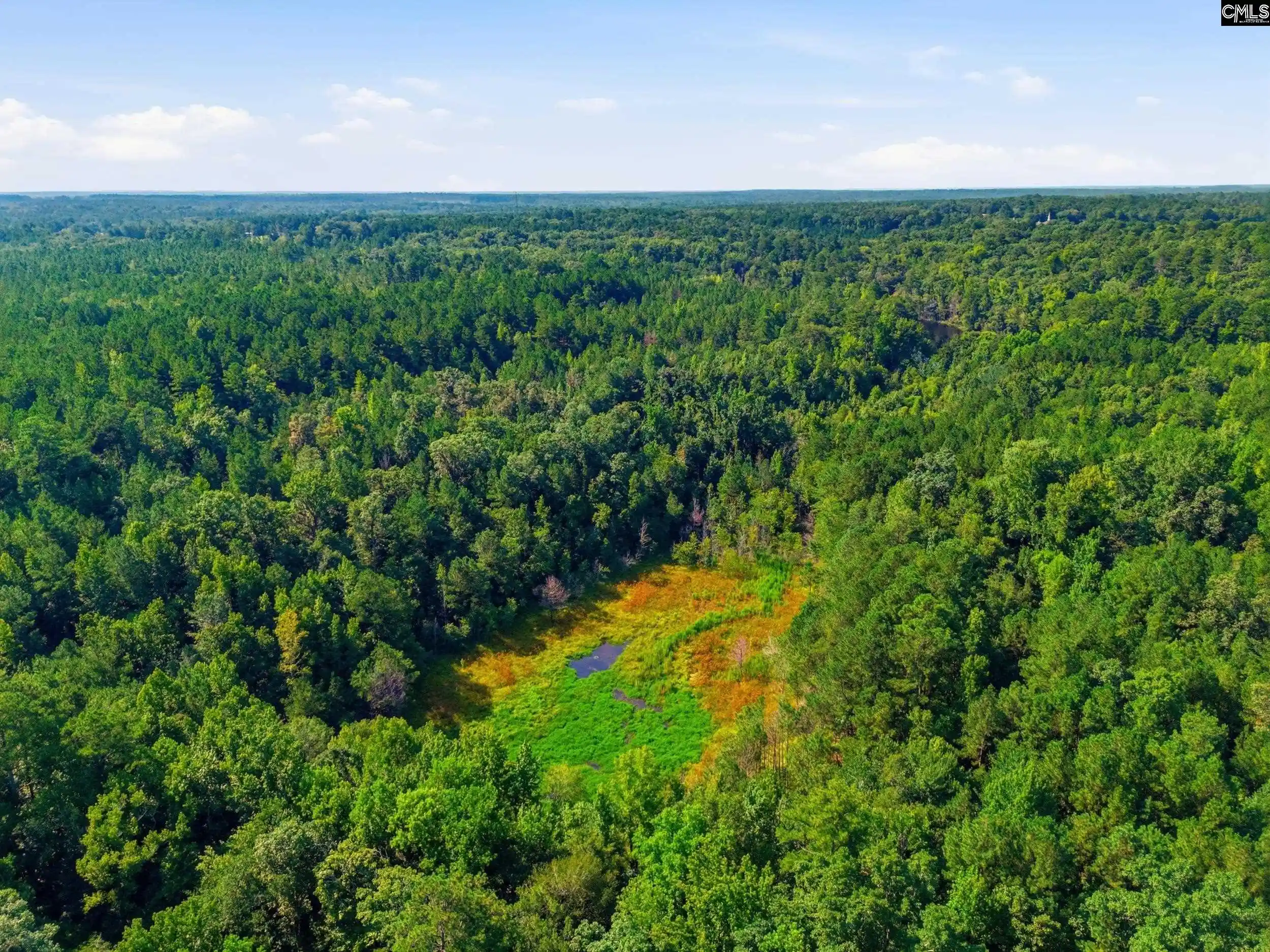Photo 3 of Land for sale at 0 Sardis Church, Swansea, SC 29160 | MLS# 627245 | Listing updated on 2026-08-13