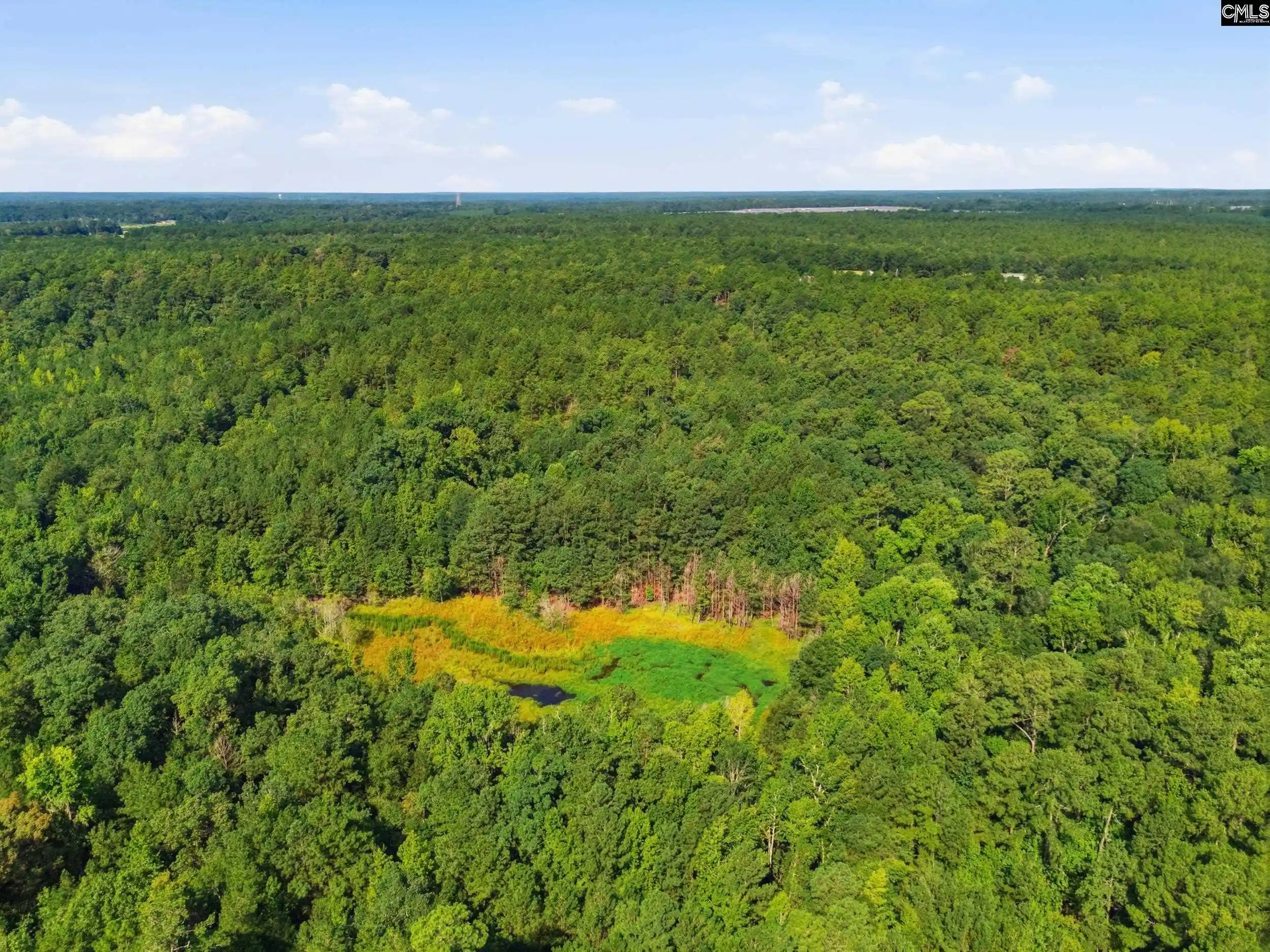 Photo 4 of Land for sale at 0 Sardis Church, Swansea, SC 29160 | MLS# 627245 | Listing updated on 2026-08-13