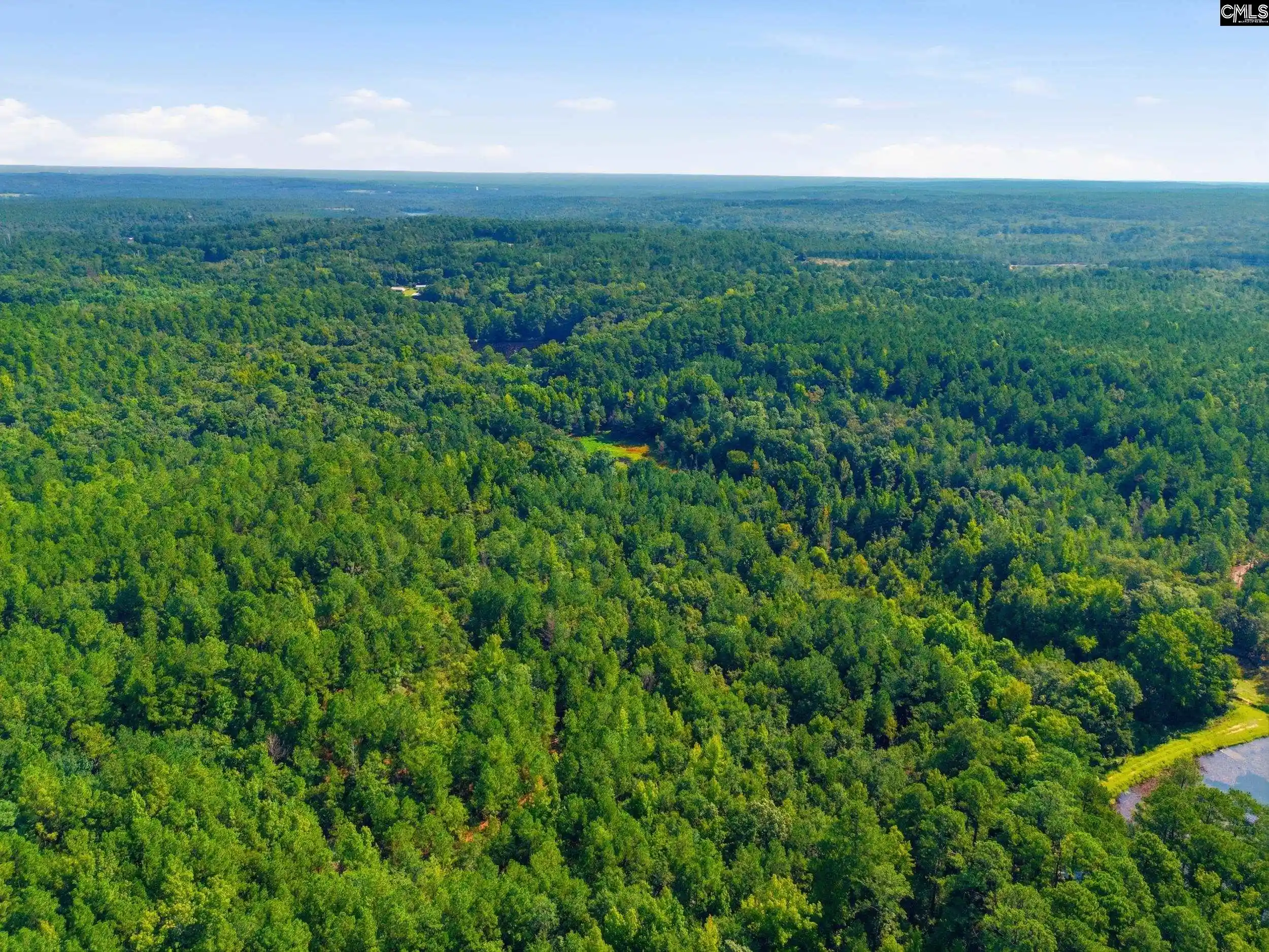 Photo 5 of Land for sale at 0 Sardis Church, Swansea, SC 29160 | MLS# 627245 | Listing updated on 2026-08-13