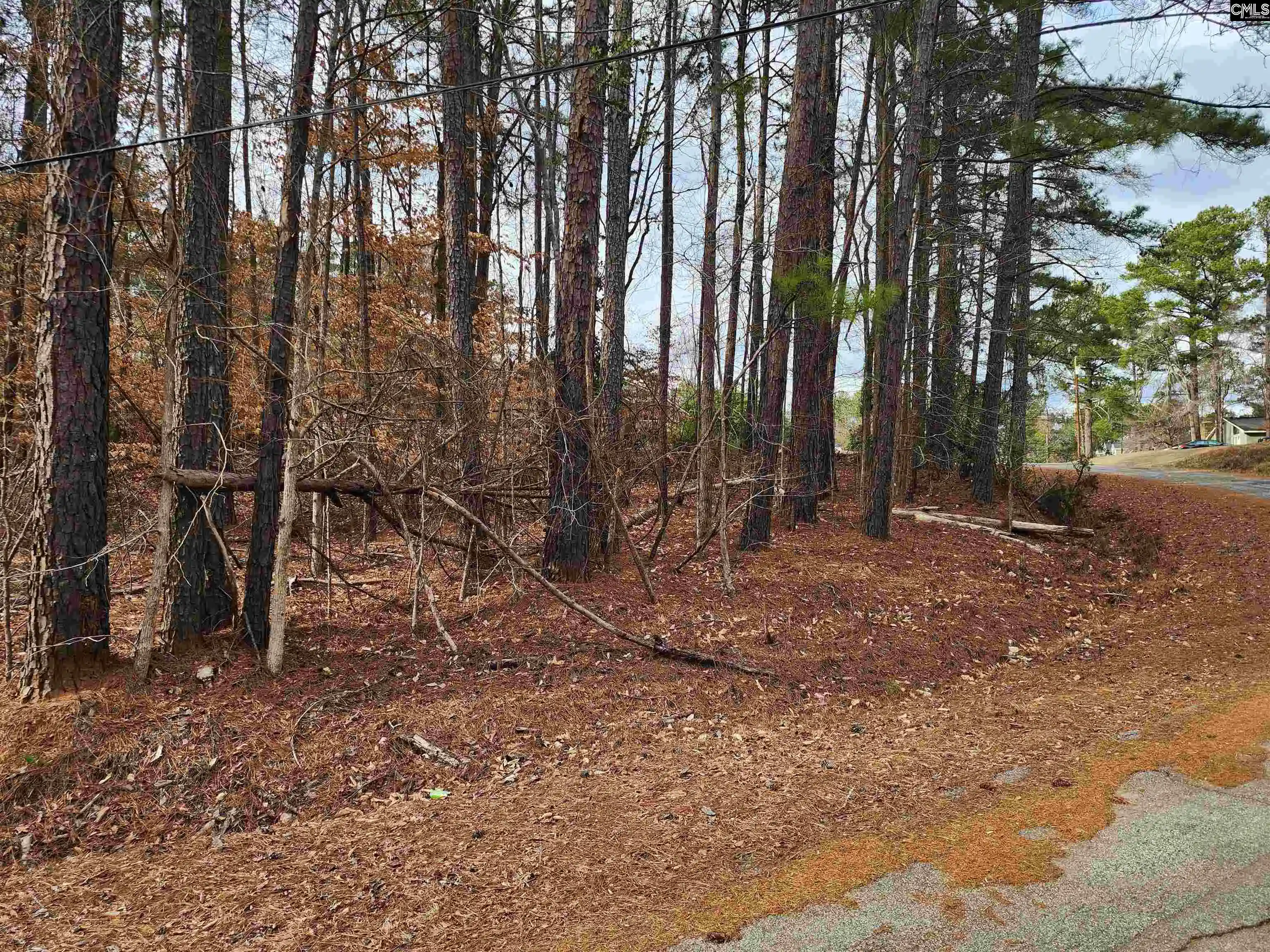Homes for sale in Winnsboro, SC | Lot 66 Kingswood, Winnsboro, SC 29180 | MLS# 627255
