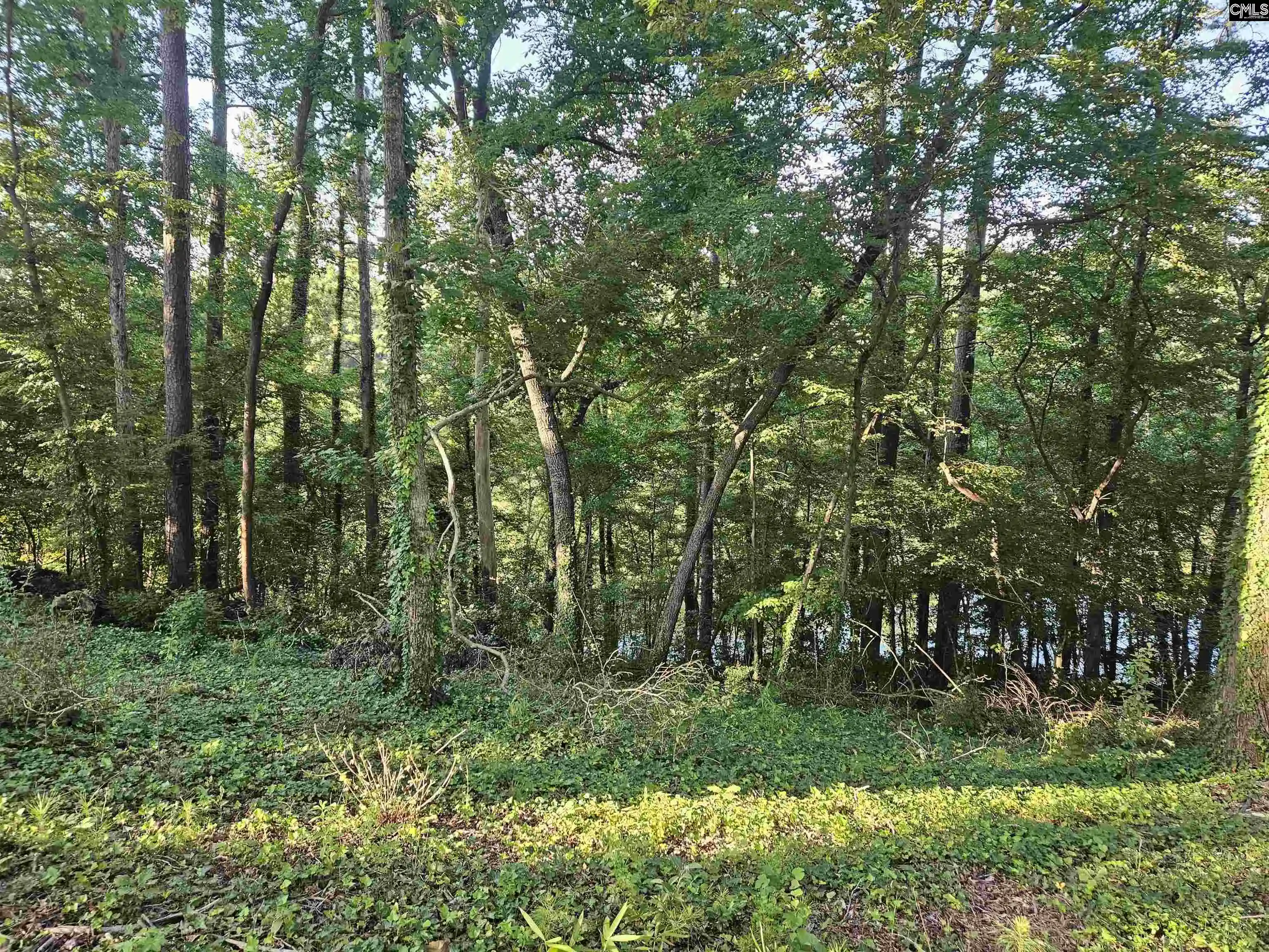 Photo 2 of Land for sale at 1540 Sewanee, West Columbia, SC 29169 | MLS# 627447 | Listing updated on 2026-08-13