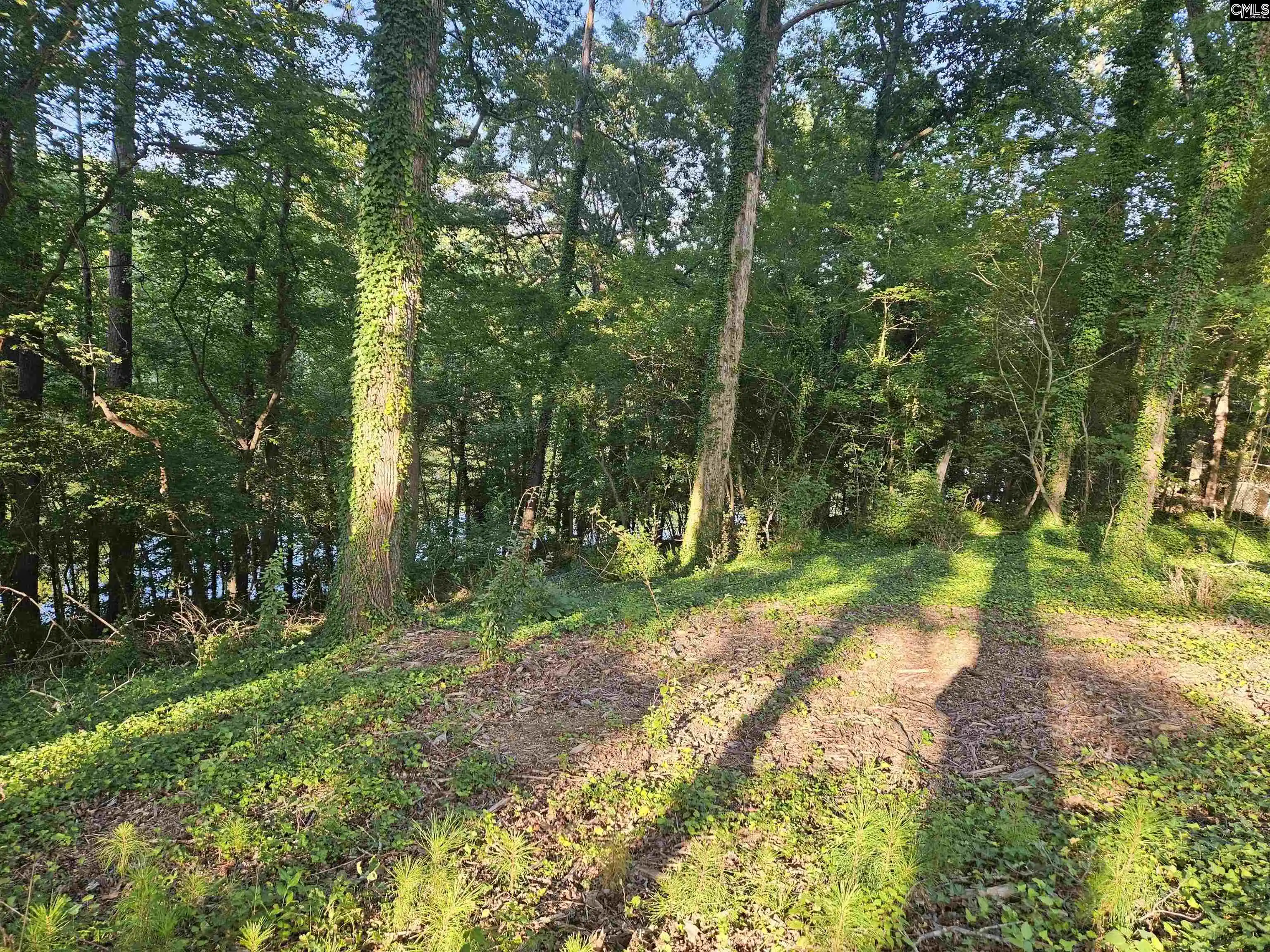 Photo 3 of Land for sale at 1540 Sewanee, West Columbia, SC 29169 | MLS# 627447 | Listing updated on 2026-08-13