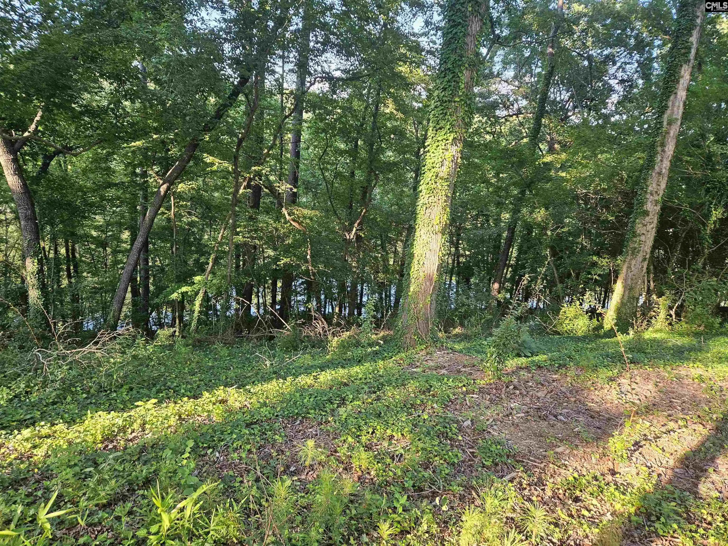 Photo 4 of Land for sale at 1540 Sewanee, West Columbia, SC 29169 | MLS# 627447 | Listing updated on 2026-08-13