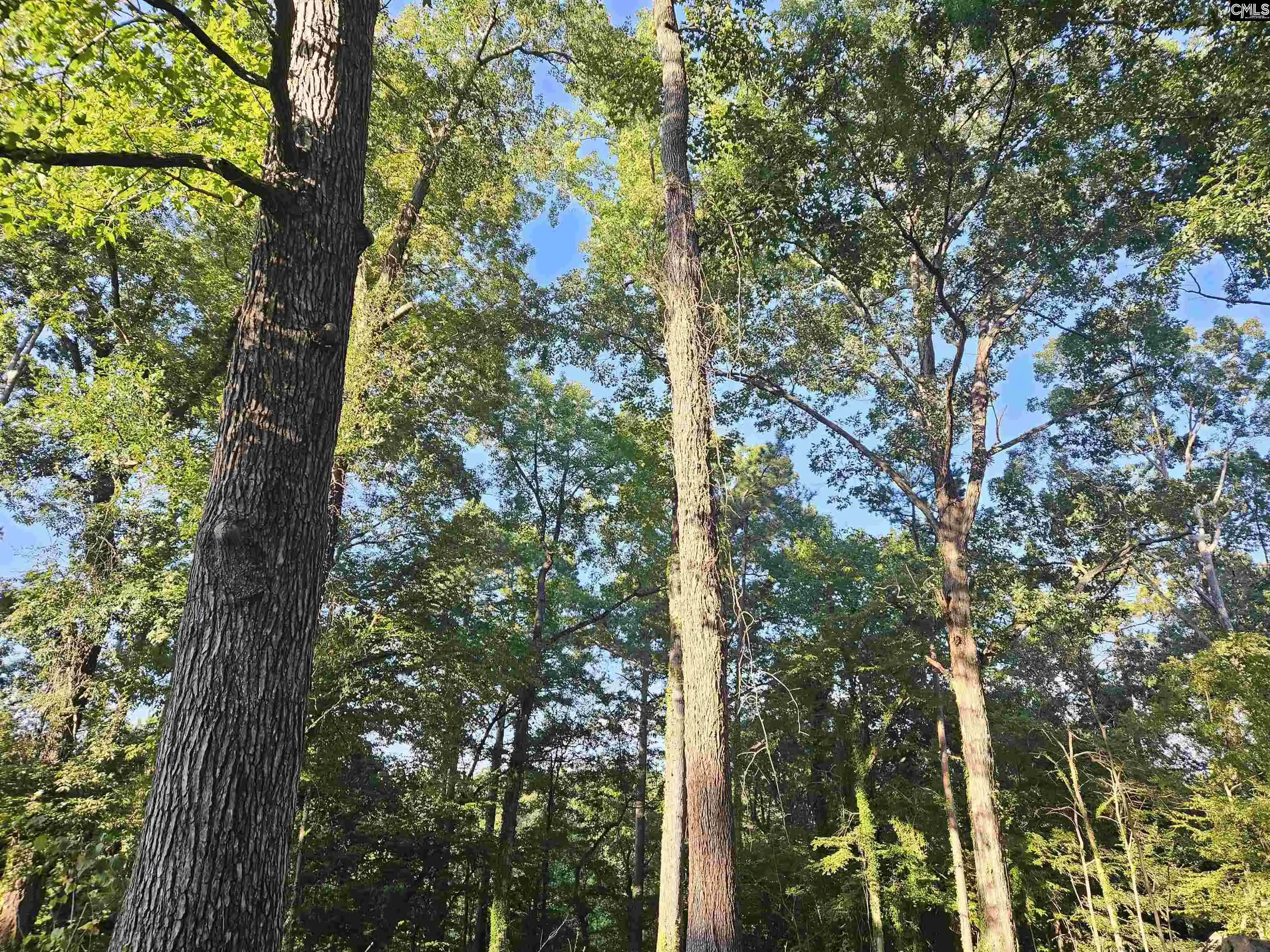 Photo 13 of Land for sale at 1540 Sewanee, West Columbia, SC 29169 | MLS# 627447 | Listing updated on 2026-08-13