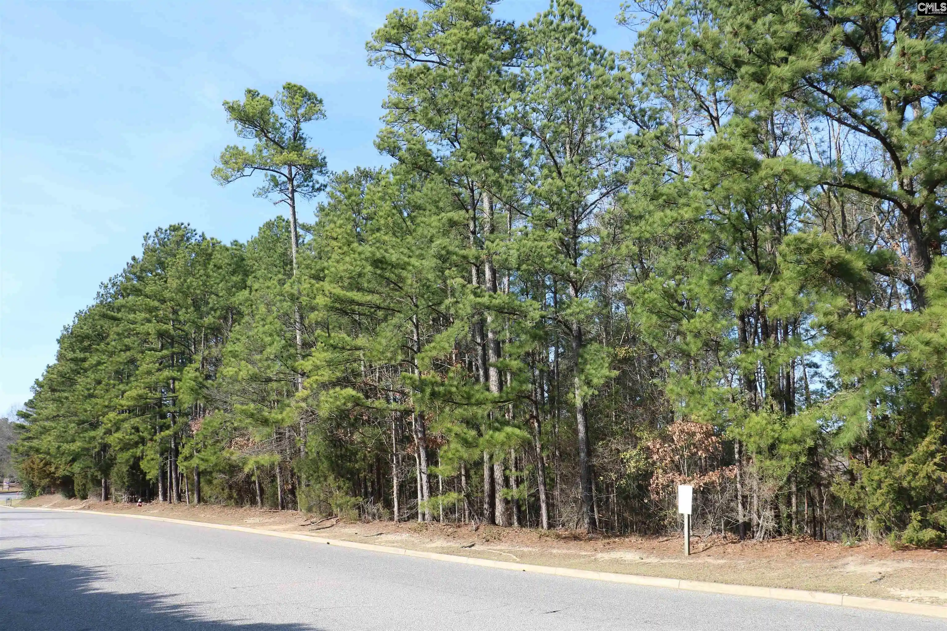 3rd image of 0 Woodcross, Columbia, SC | MLS# 627482