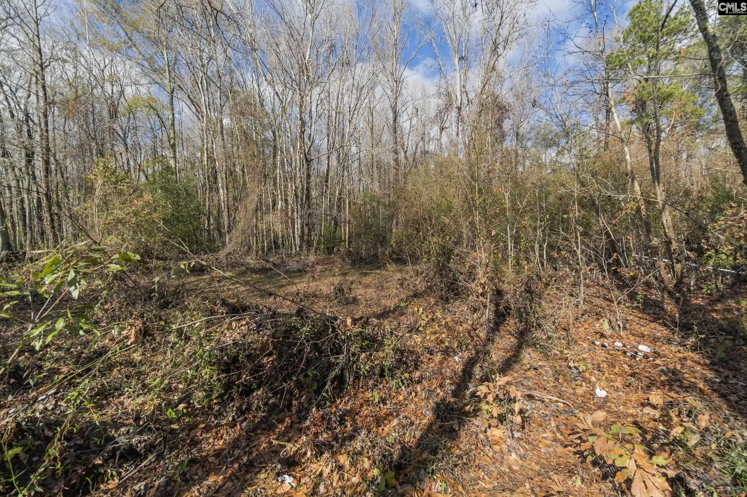 2nd image of 776 Shillings Bridge, Orangeburg, SC 29118 | MLS# 628078