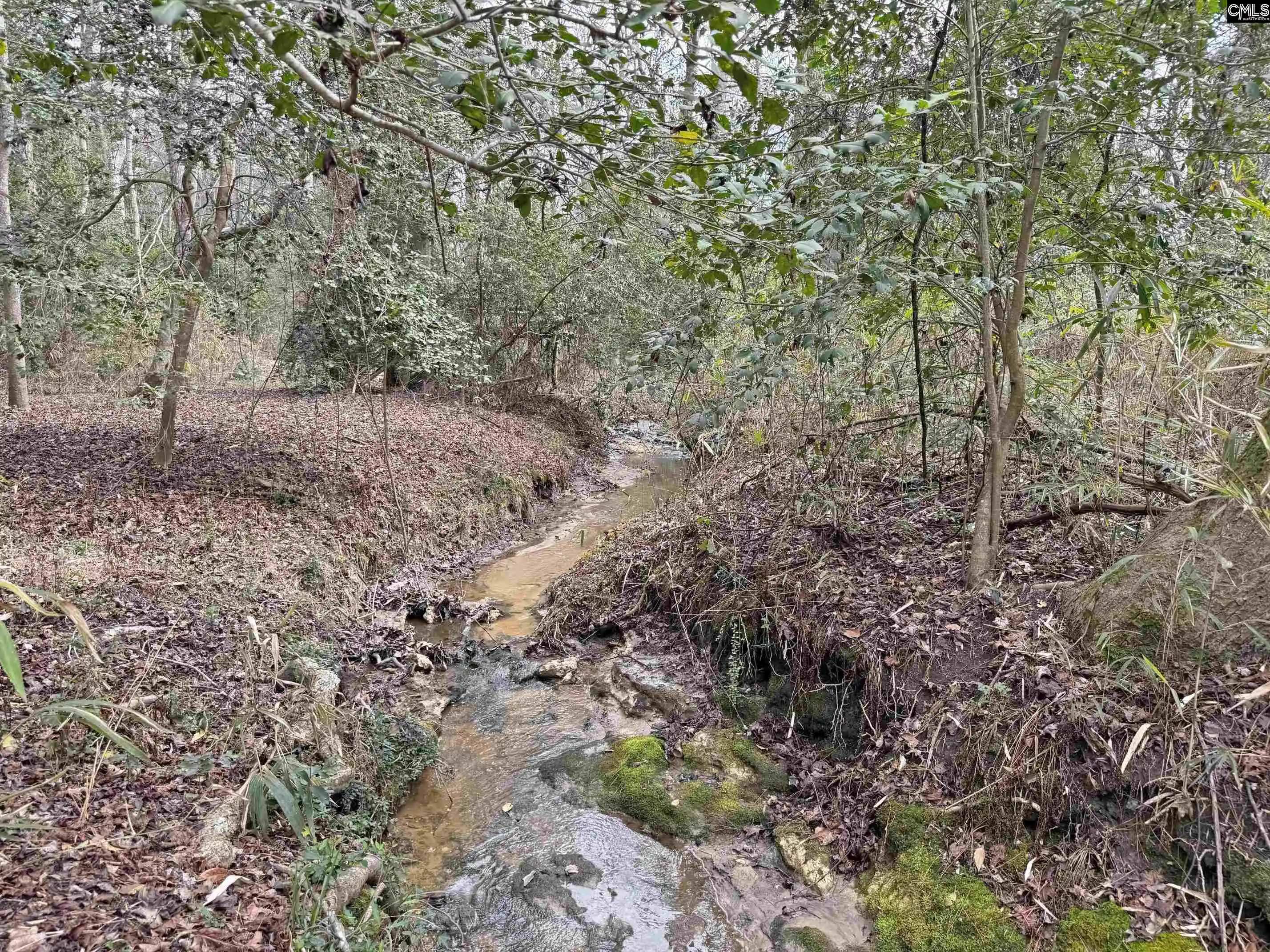 Photo 1 of Land for sale at 0 Tall Timber, Leesville, SC 29070 | MLS# 628163 | Listing updated on 2026-08-20