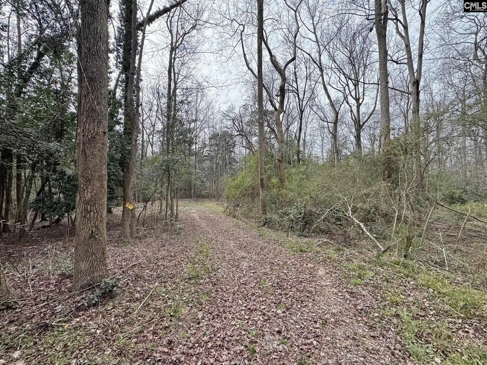 Photo 2 of Land for sale at 0 Tall Timber, Leesville, SC 29070 | MLS# 628163 | Listing updated on 2026-08-20