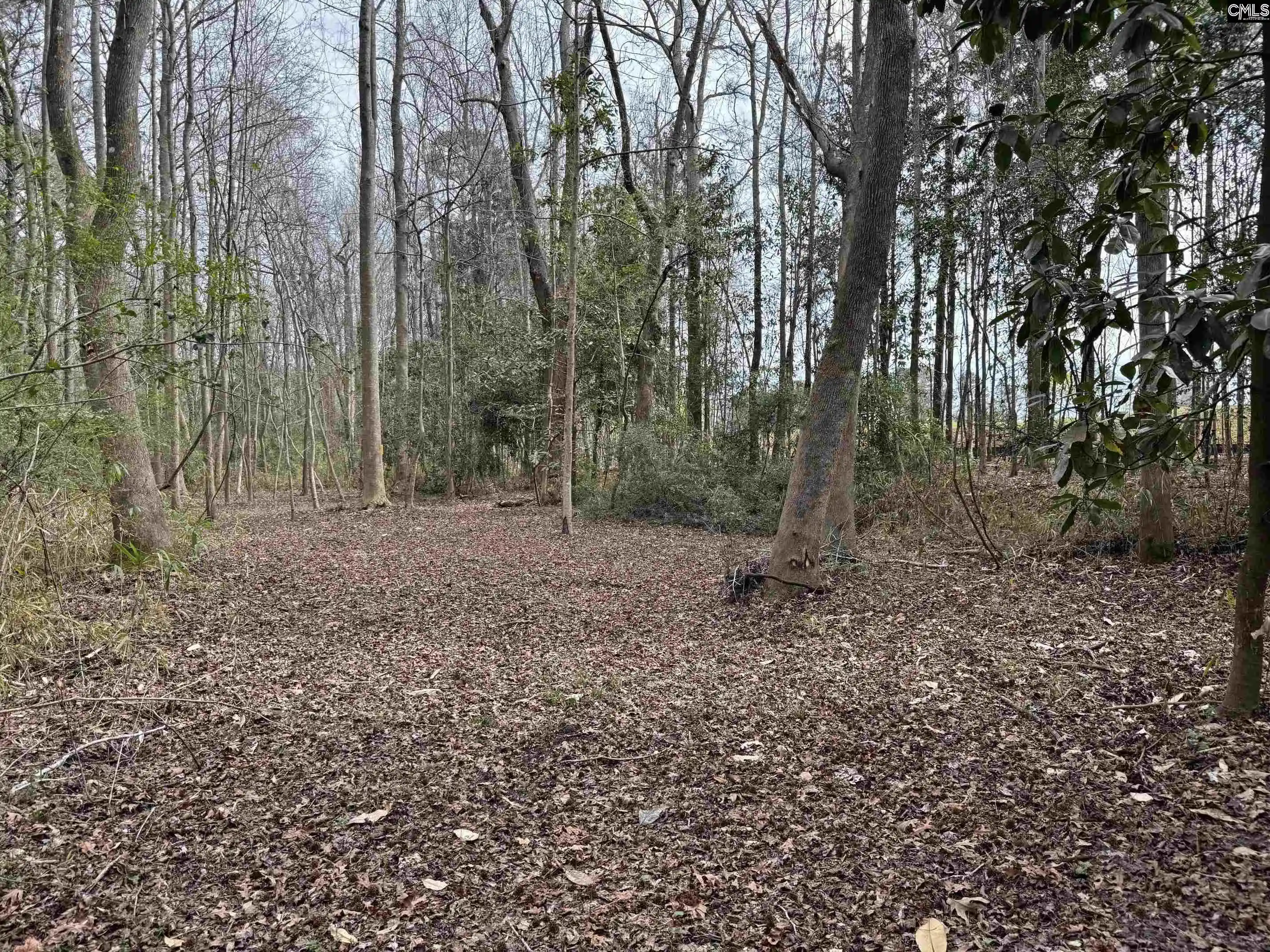 Photo 19 of Land for sale at 0 Tall Timber, Leesville, SC 29070 | MLS# 628163 | Listing updated on 2026-08-20