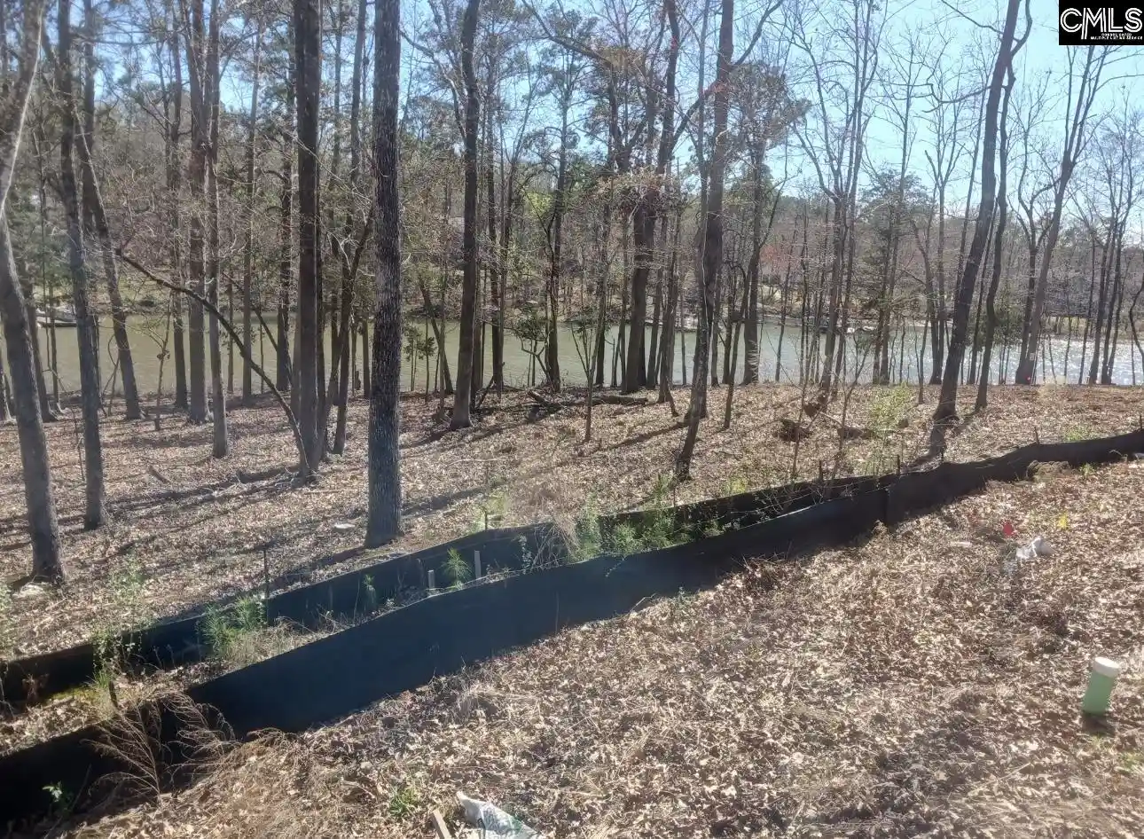 Photo 4 of Land for sale at 1061 Refuge, Chapin, SC 29036 | MLS# 628213 | Listing updated on 2026-08-03