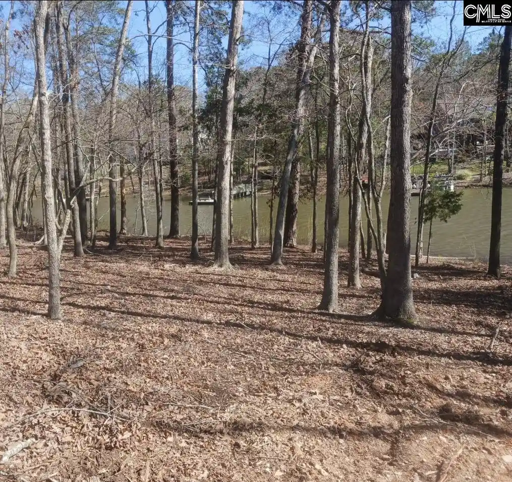 Photo 5 of Land for sale at 1061 Refuge, Chapin, SC 29036 | MLS# 628213 | Listing updated on 2026-08-03