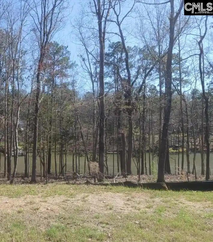 Photo 11 of Land for sale at 1061 Refuge, Chapin, SC 29036 | MLS# 628213 | Listing updated on 2026-08-03