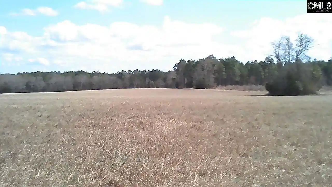 2nd image of North Fork, Batesburg, SC 29006 | MLS# 628421