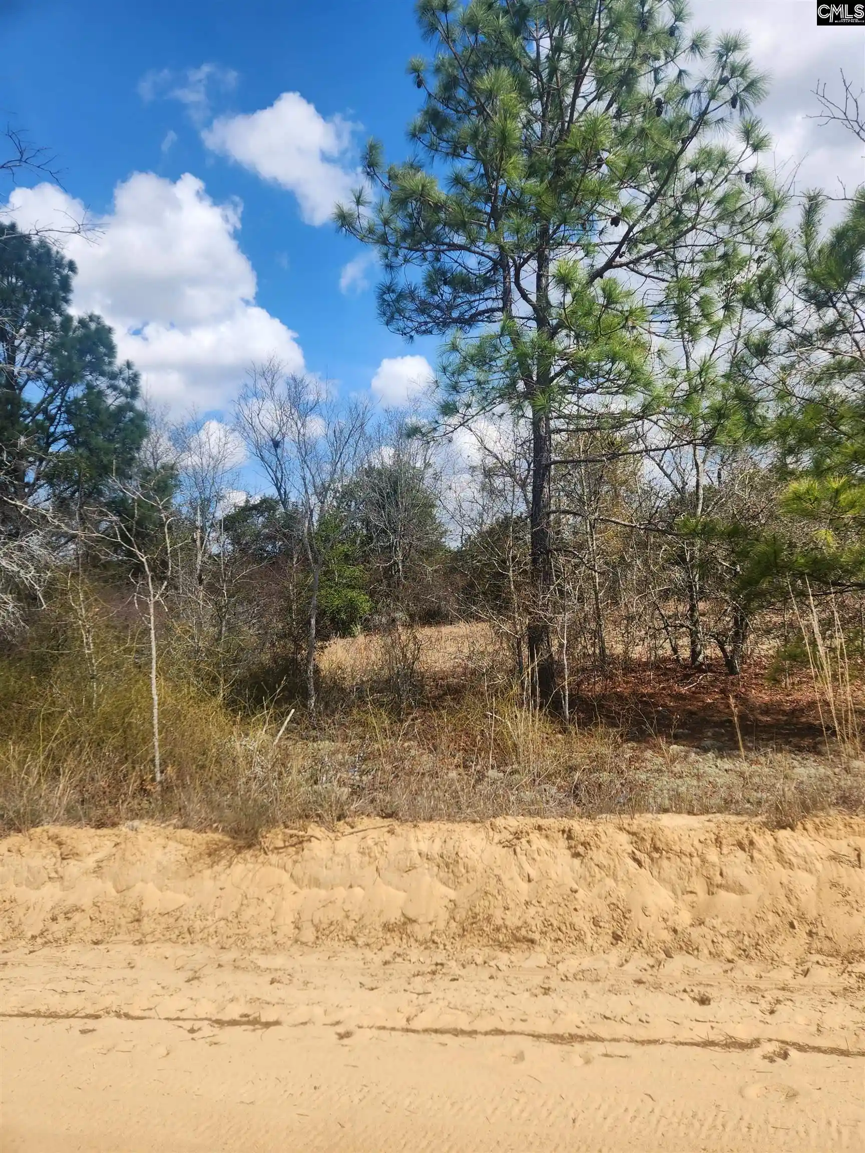 3rd image of North Fork, Batesburg, SC 29006 | MLS# 628421