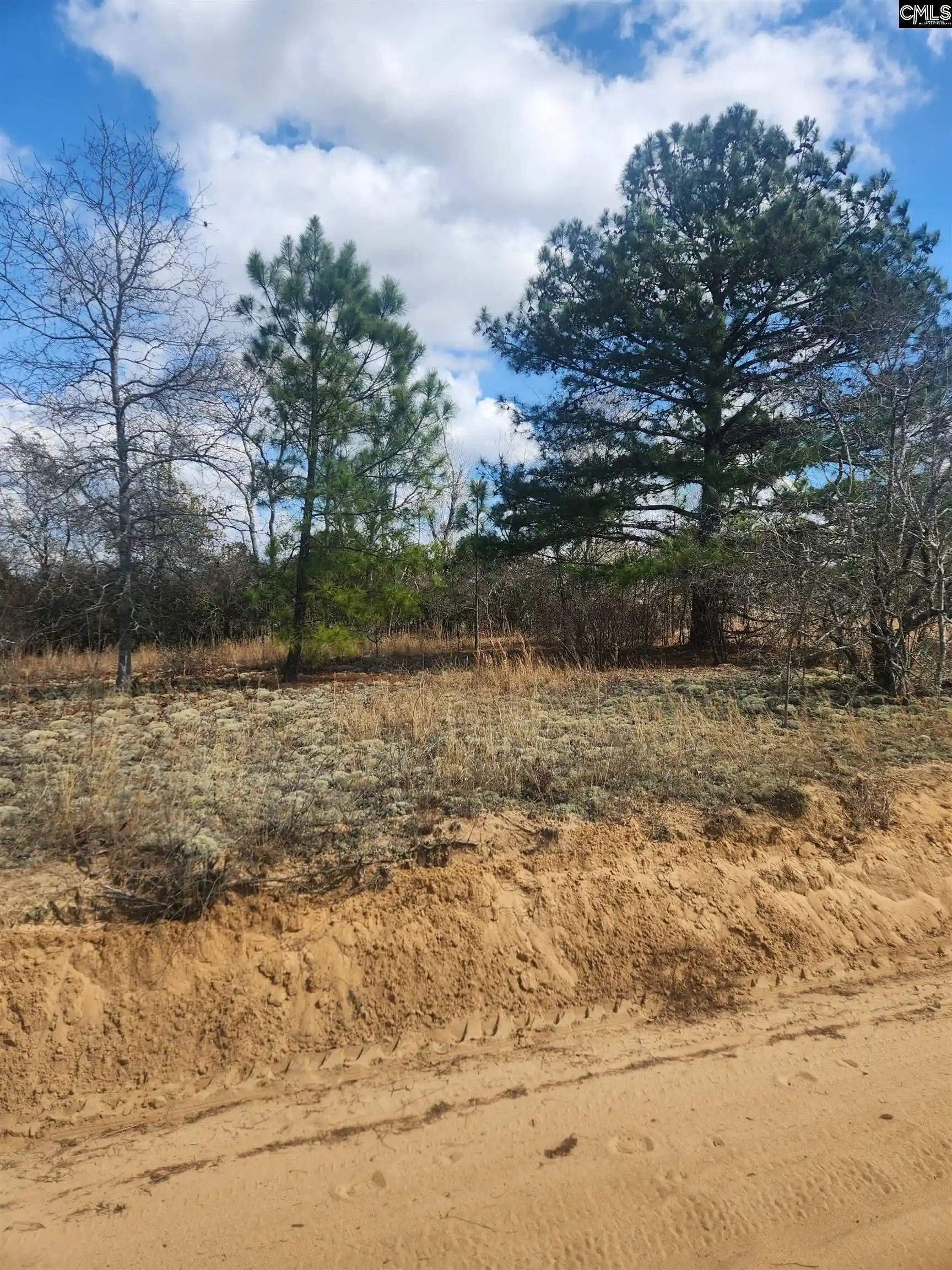 4th image of North Fork, Batesburg, SC 29006 | MLS# 628421