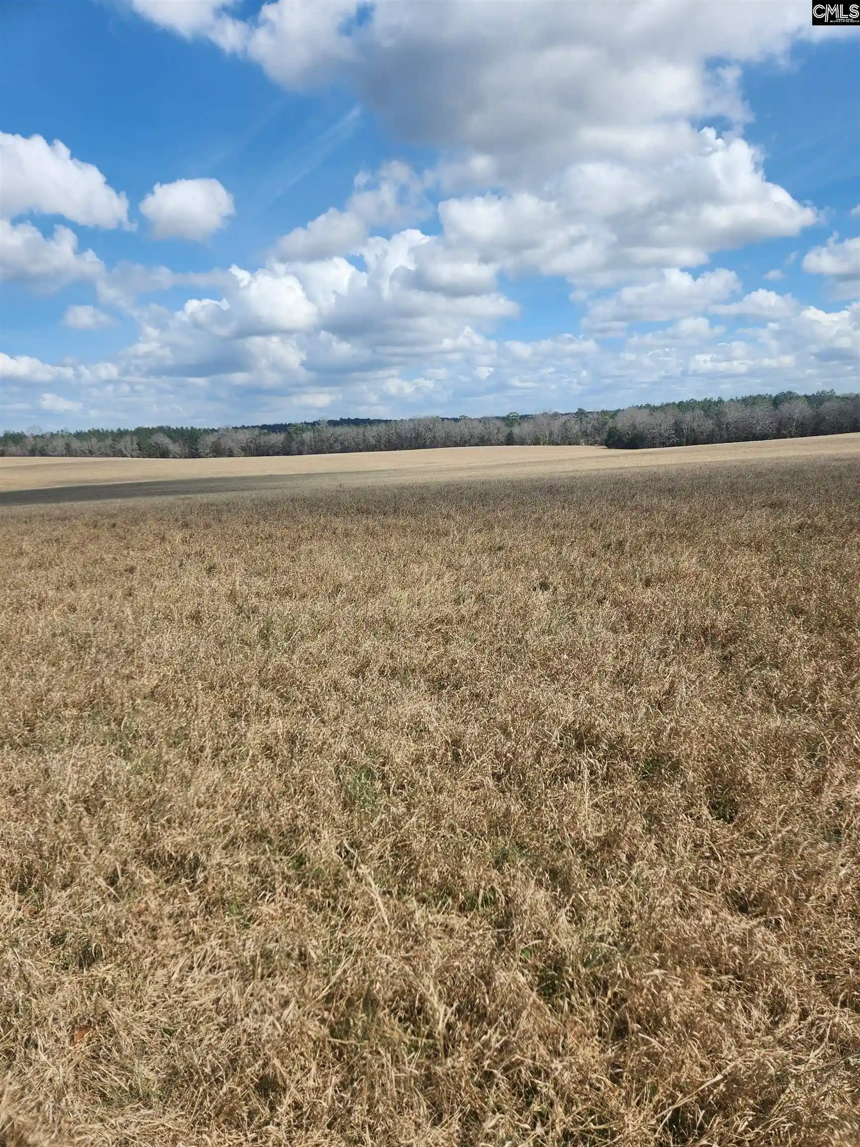 5th image of North Fork, Batesburg, SC 29006 | MLS# 628421