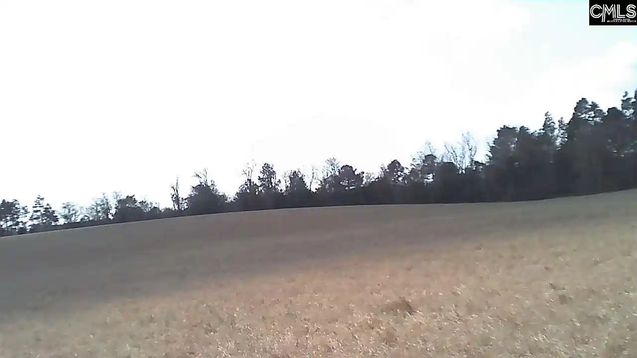10th image of North Fork, Batesburg, SC 29006 | MLS# 628421