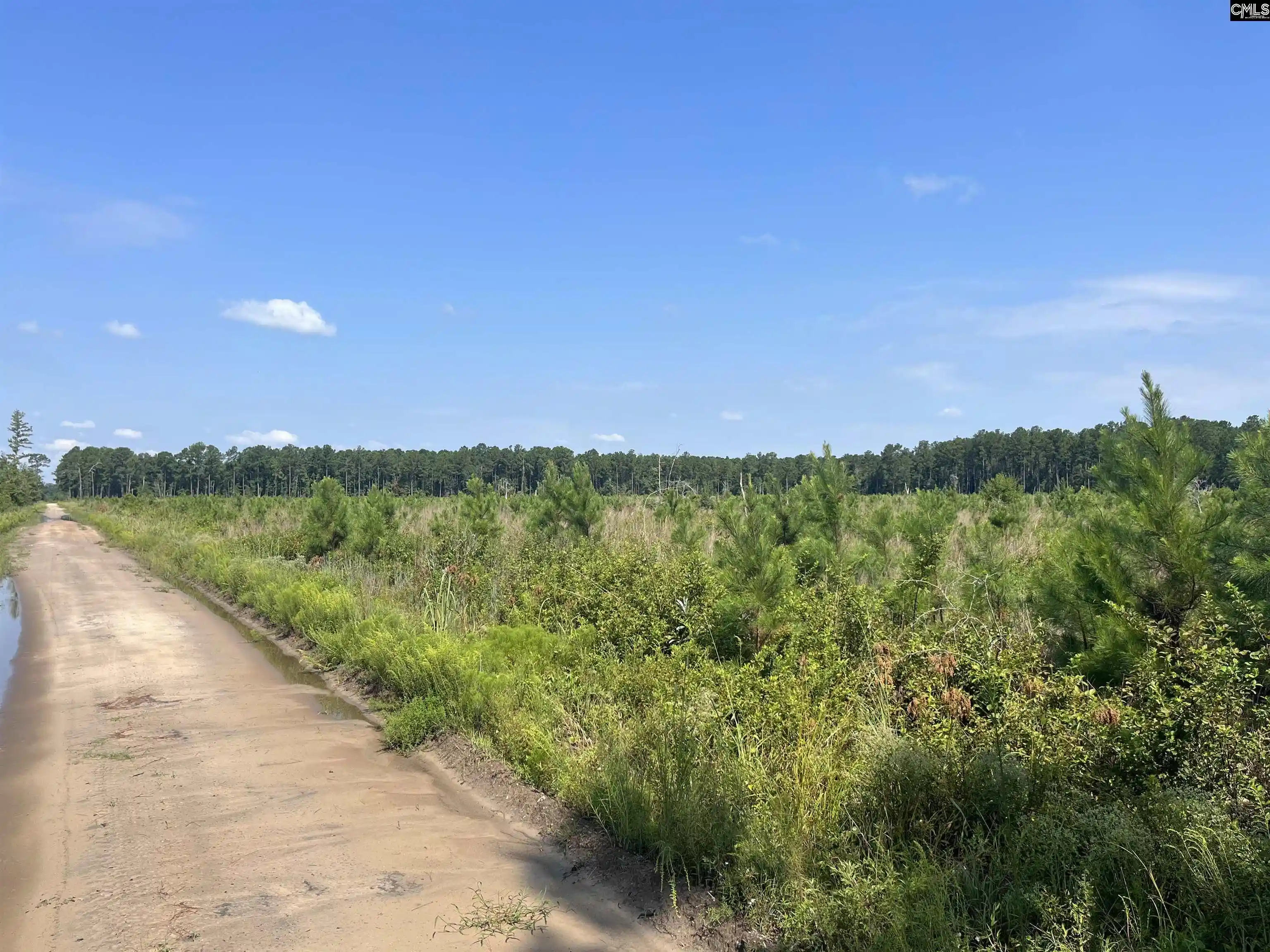 1st image of Mahogany, Orangeburg, SC 29115 | MLS# 629199