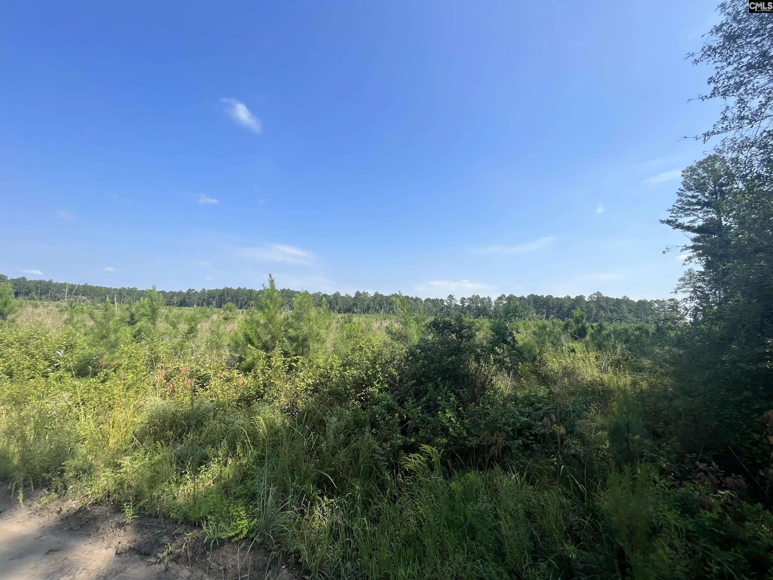 2nd image of Mahogany, Orangeburg, SC 29115 | MLS# 629199