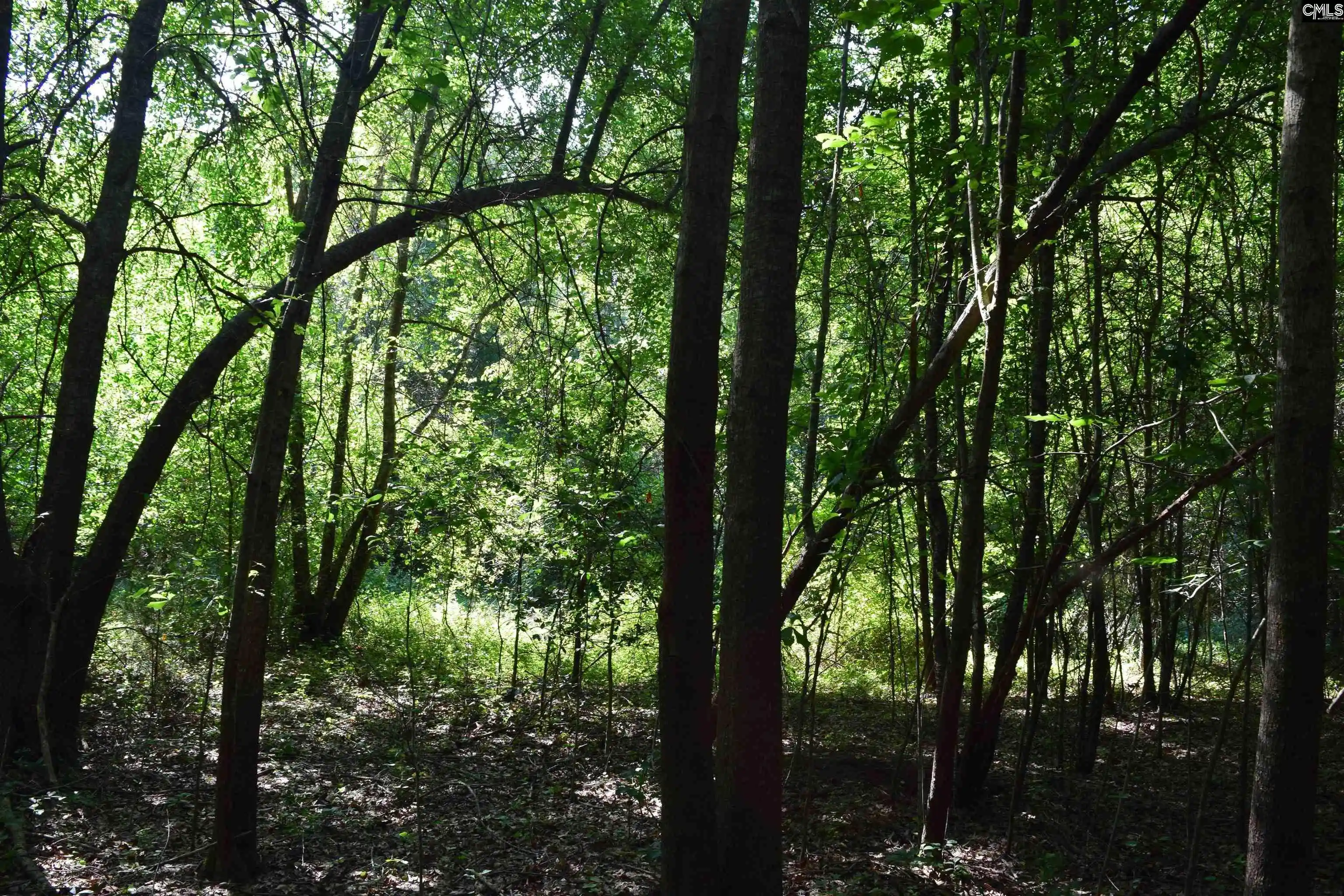 Photo 3 of Land for sale at 0 Green Hills, Gilbert, SC 29054 | MLS# 629323 | Listing updated on 2026-07-23