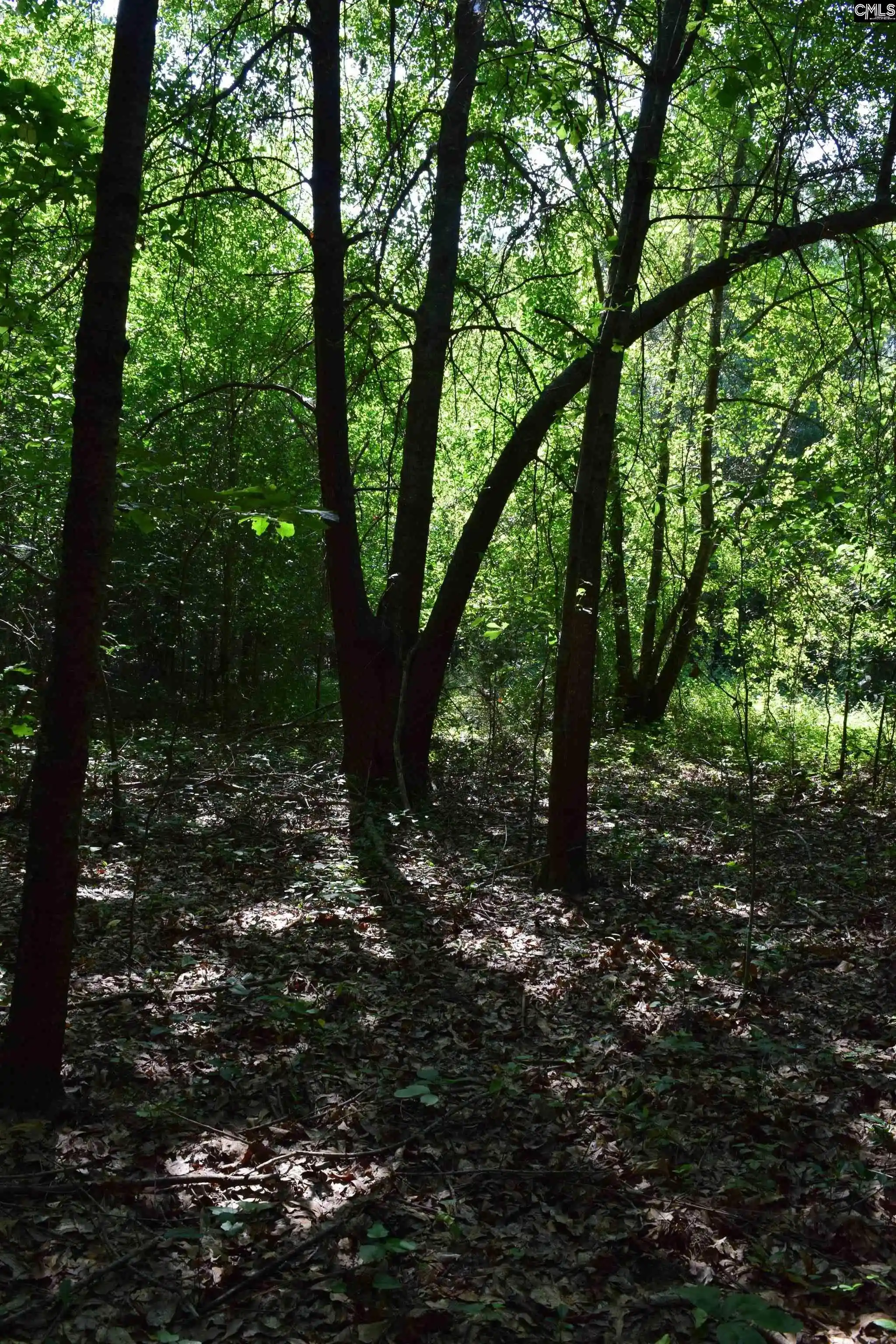 Photo 4 of Land for sale at 0 Green Hills, Gilbert, SC 29054 | MLS# 629323 | Listing updated on 2026-07-23