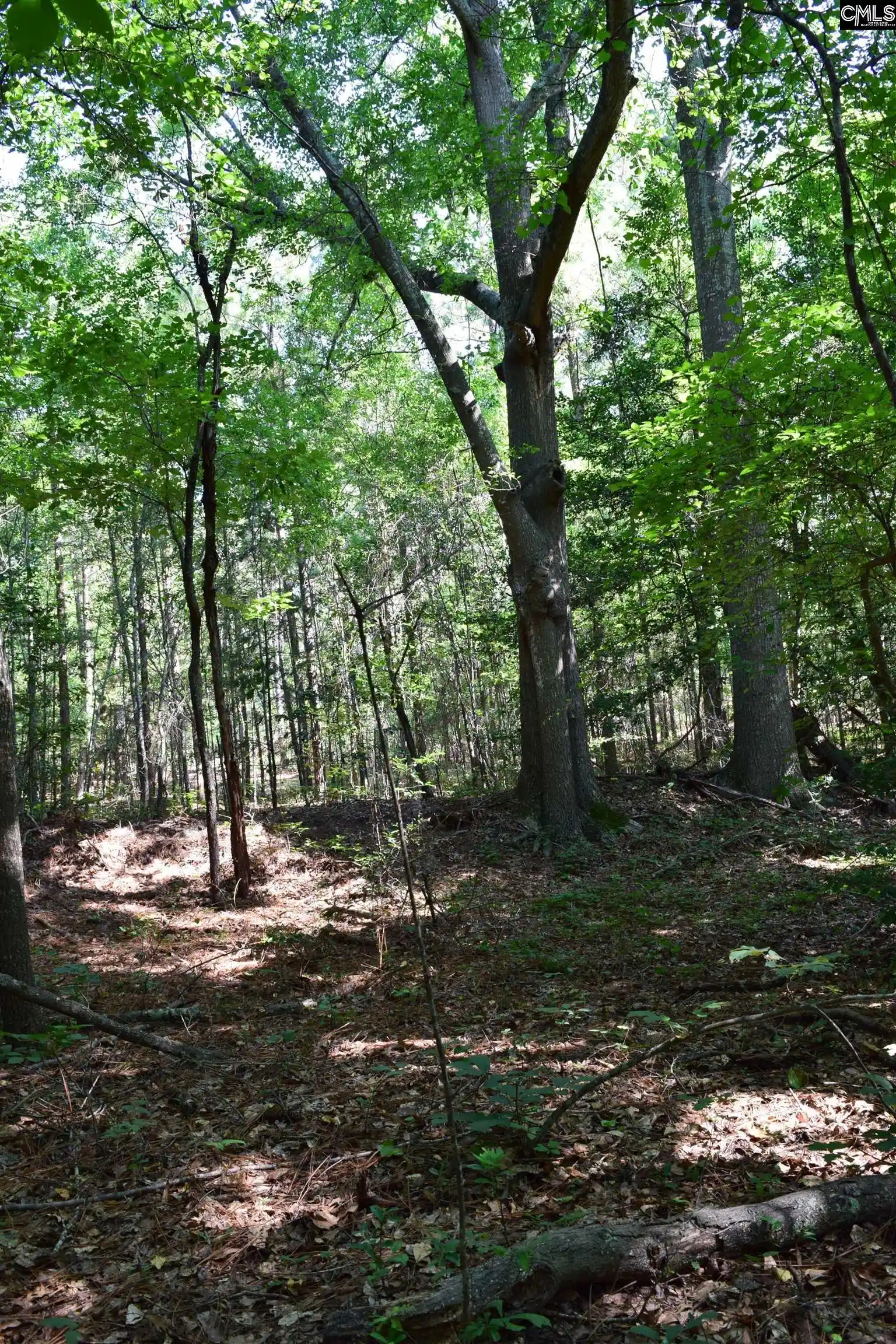 Photo 5 of Land for sale at 0 Green Hills, Gilbert, SC 29054 | MLS# 629323 | Listing updated on 2026-07-23