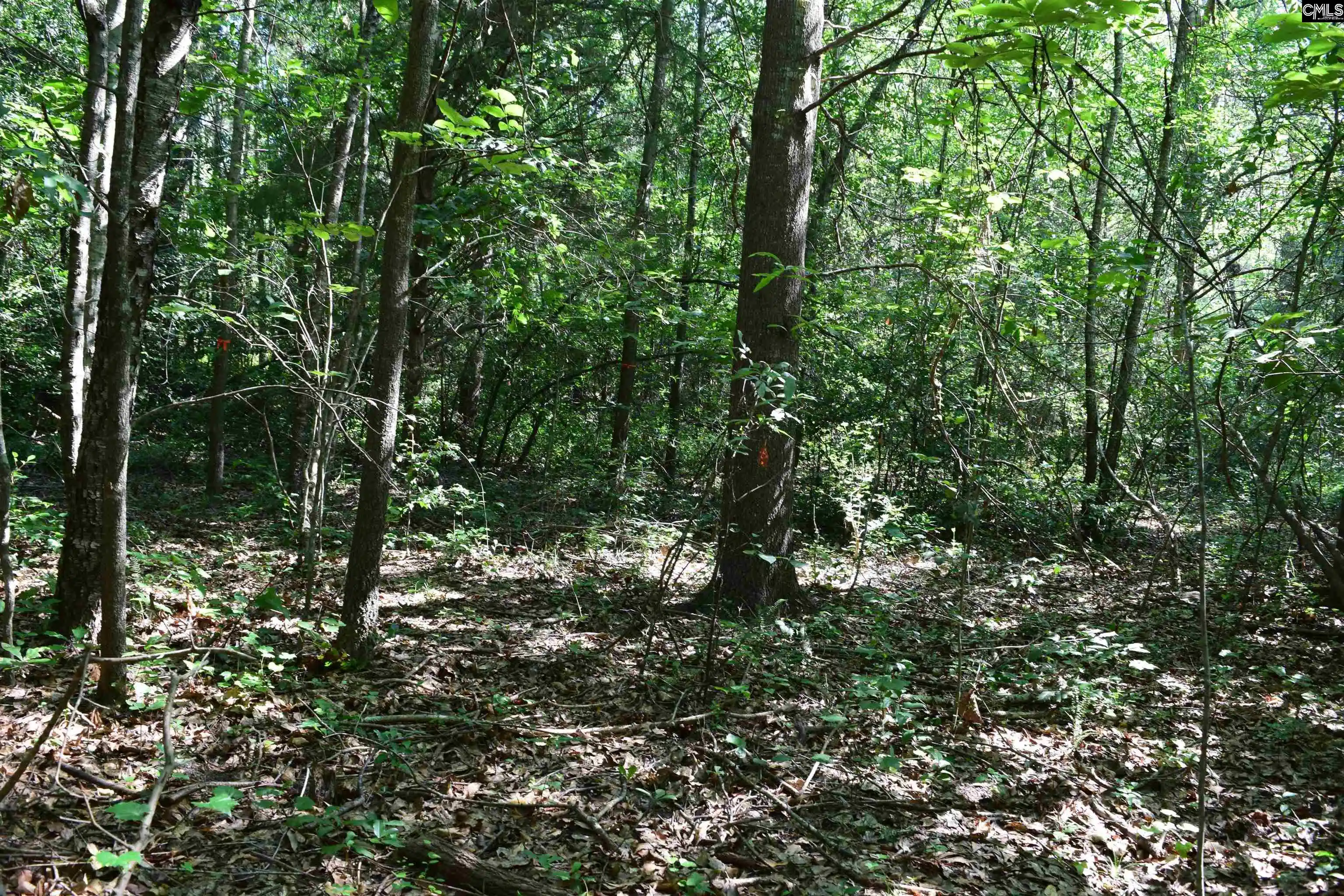 Photo 26 of Land for sale at 0 Green Hills, Gilbert, SC 29054 | MLS# 629323 | Listing updated on 2026-07-23