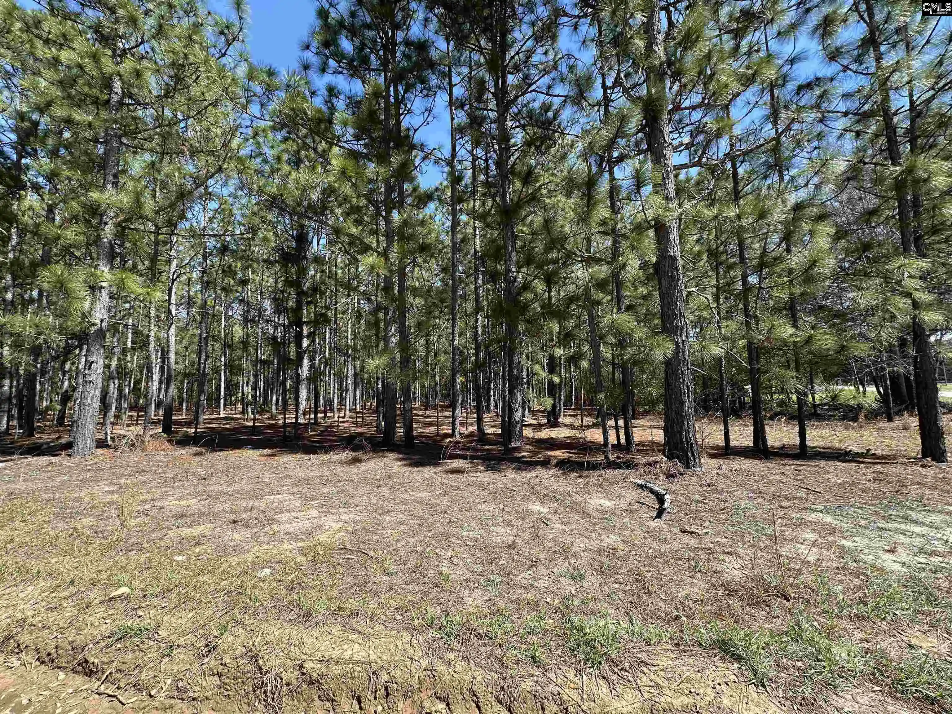 Photo 1 of Land for sale at 223 Mimosa, Gaston, SC 29053 | MLS# 629406 | Listing updated on 2026-08-03