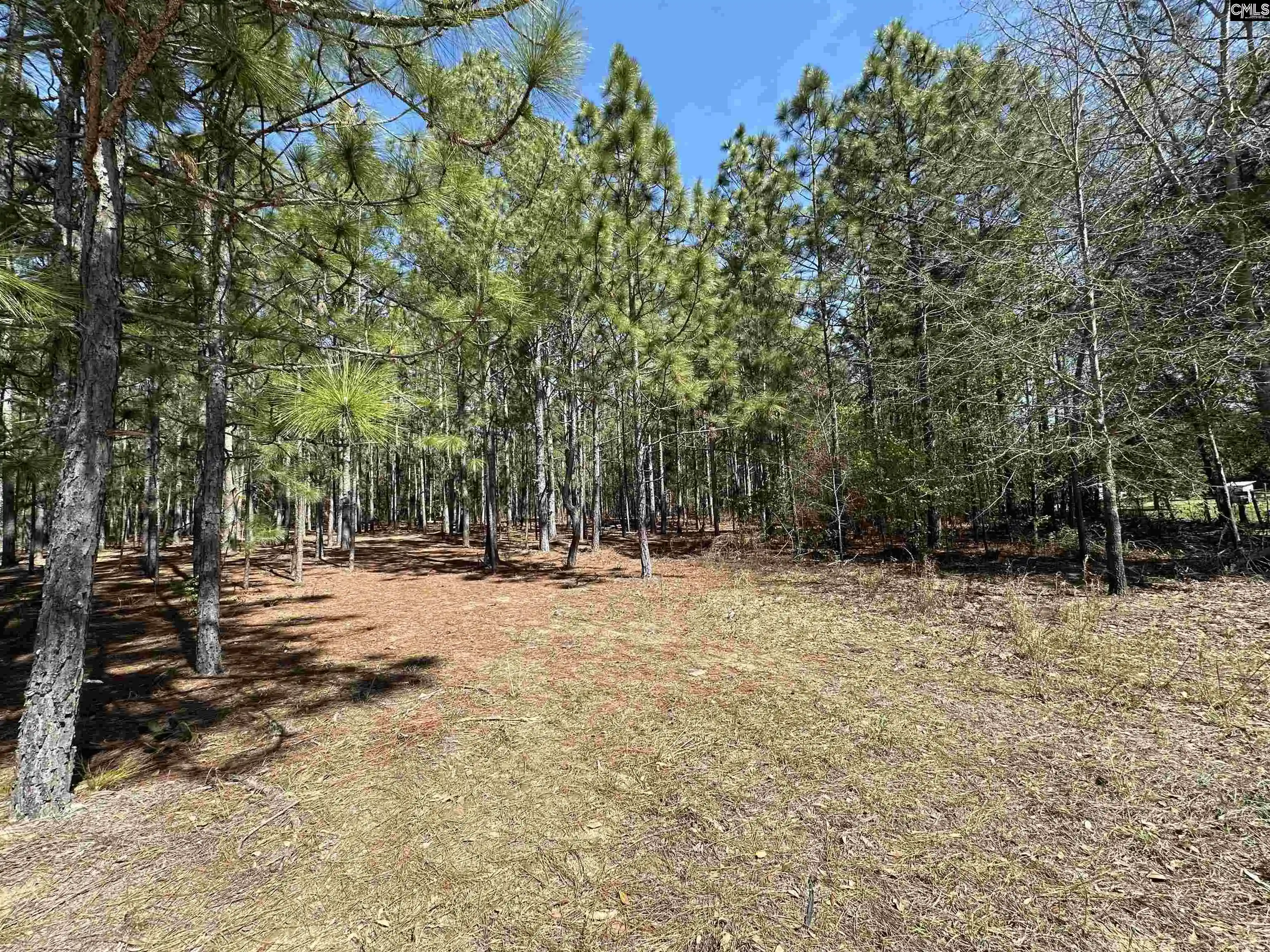 Photo 2 of Land for sale at 223 Mimosa, Gaston, SC 29053 | MLS# 629406 | Listing updated on 2026-08-03