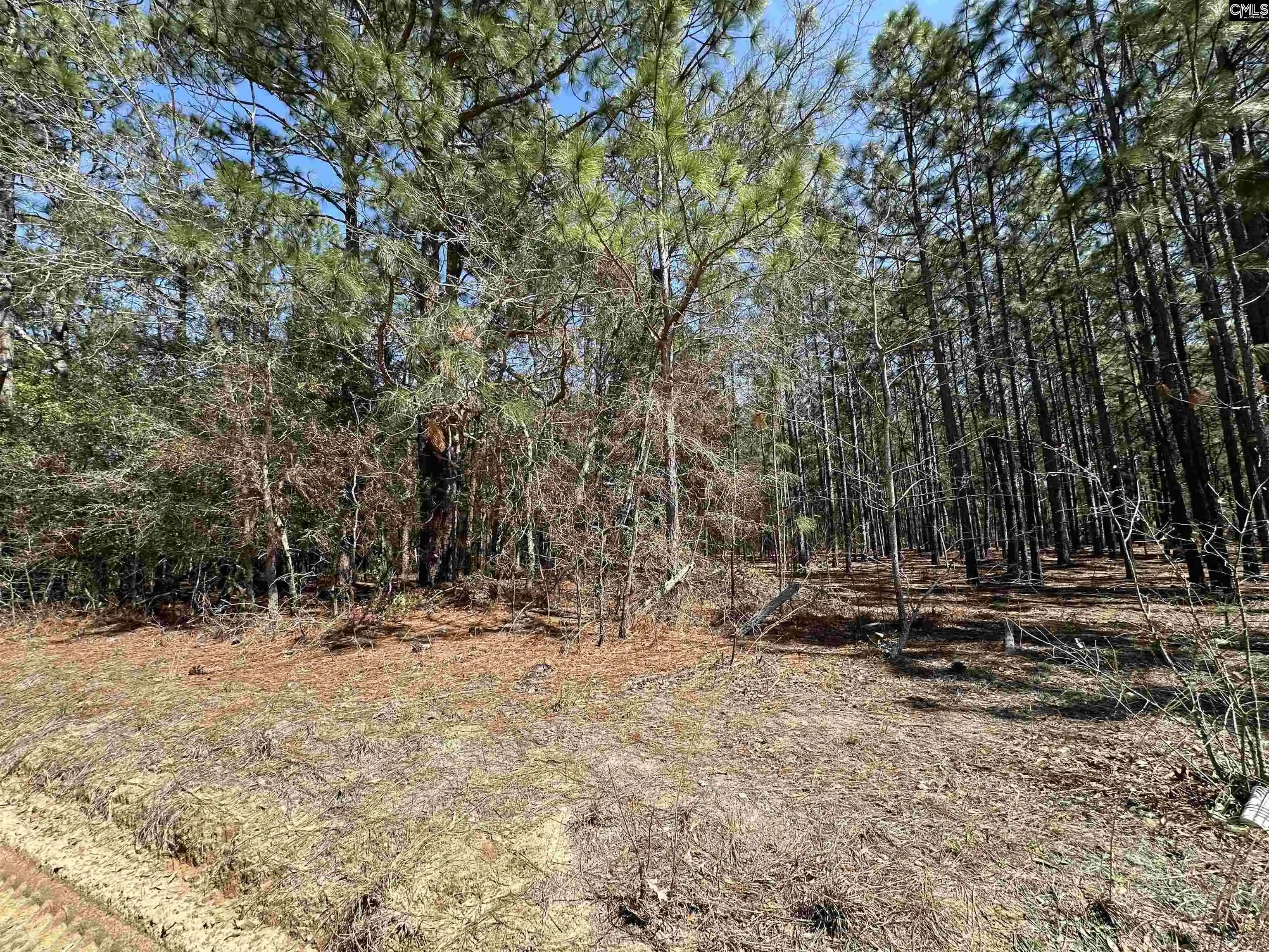 Photo 3 of Land for sale at 223 Mimosa, Gaston, SC 29053 | MLS# 629406 | Listing updated on 2026-08-03