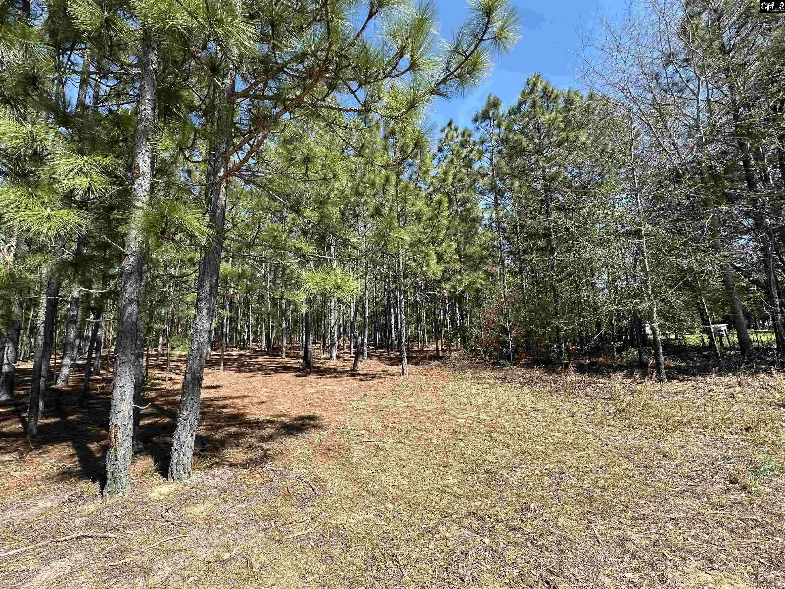 Photo 4 of Land for sale at 223 Mimosa, Gaston, SC 29053 | MLS# 629406 | Listing updated on 2026-08-03