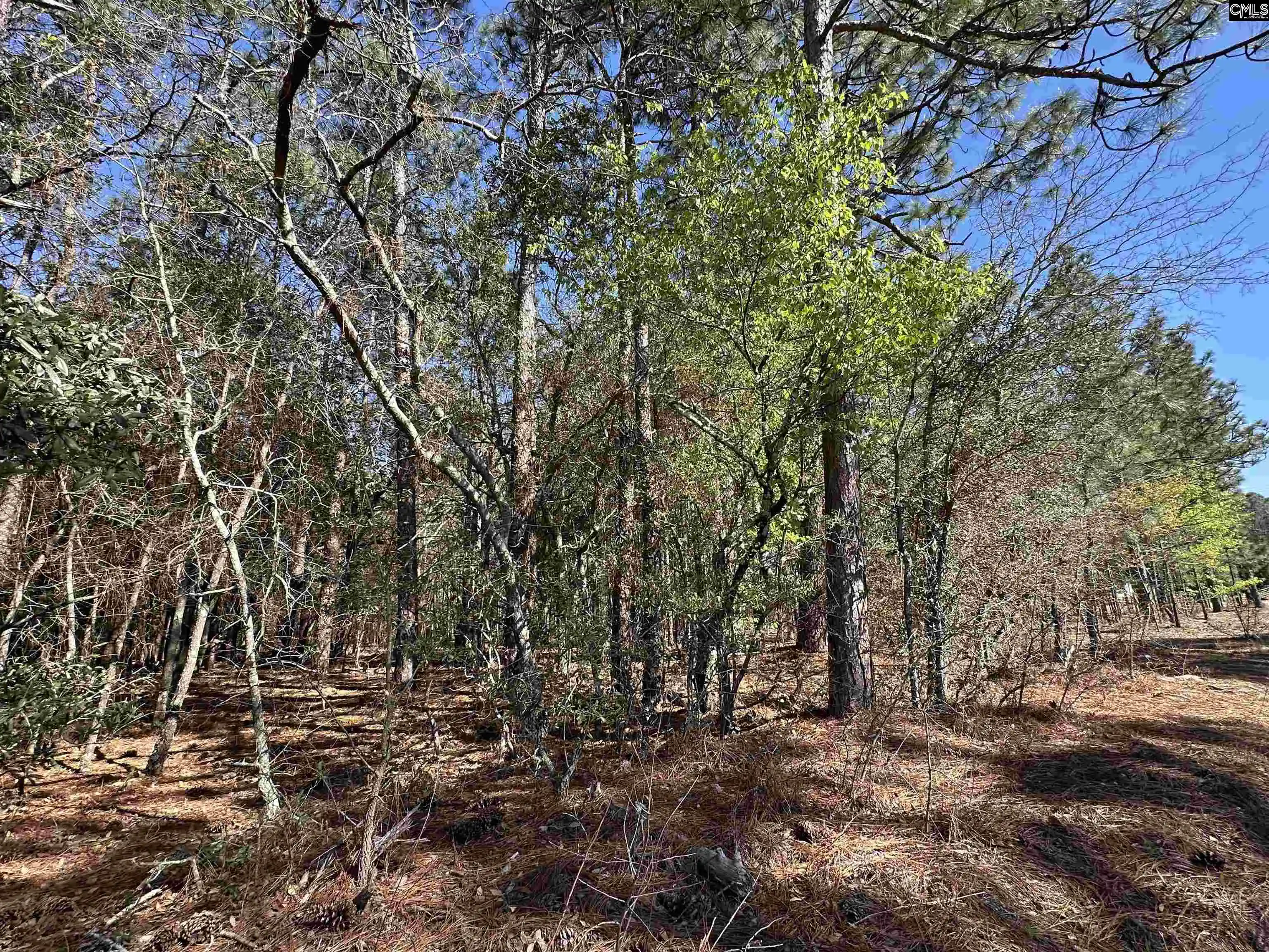 Photo 5 of Land for sale at 223 Mimosa, Gaston, SC 29053 | MLS# 629406 | Listing updated on 2026-08-03